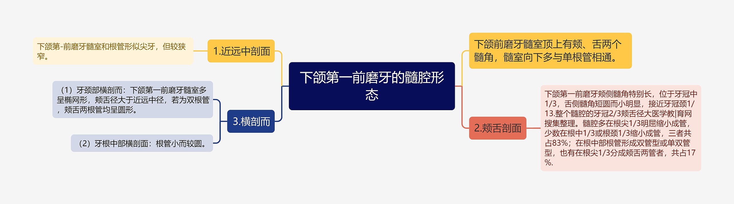 下颌第一前磨牙的髓腔形态 下颌第一前磨牙的髓腔形态
