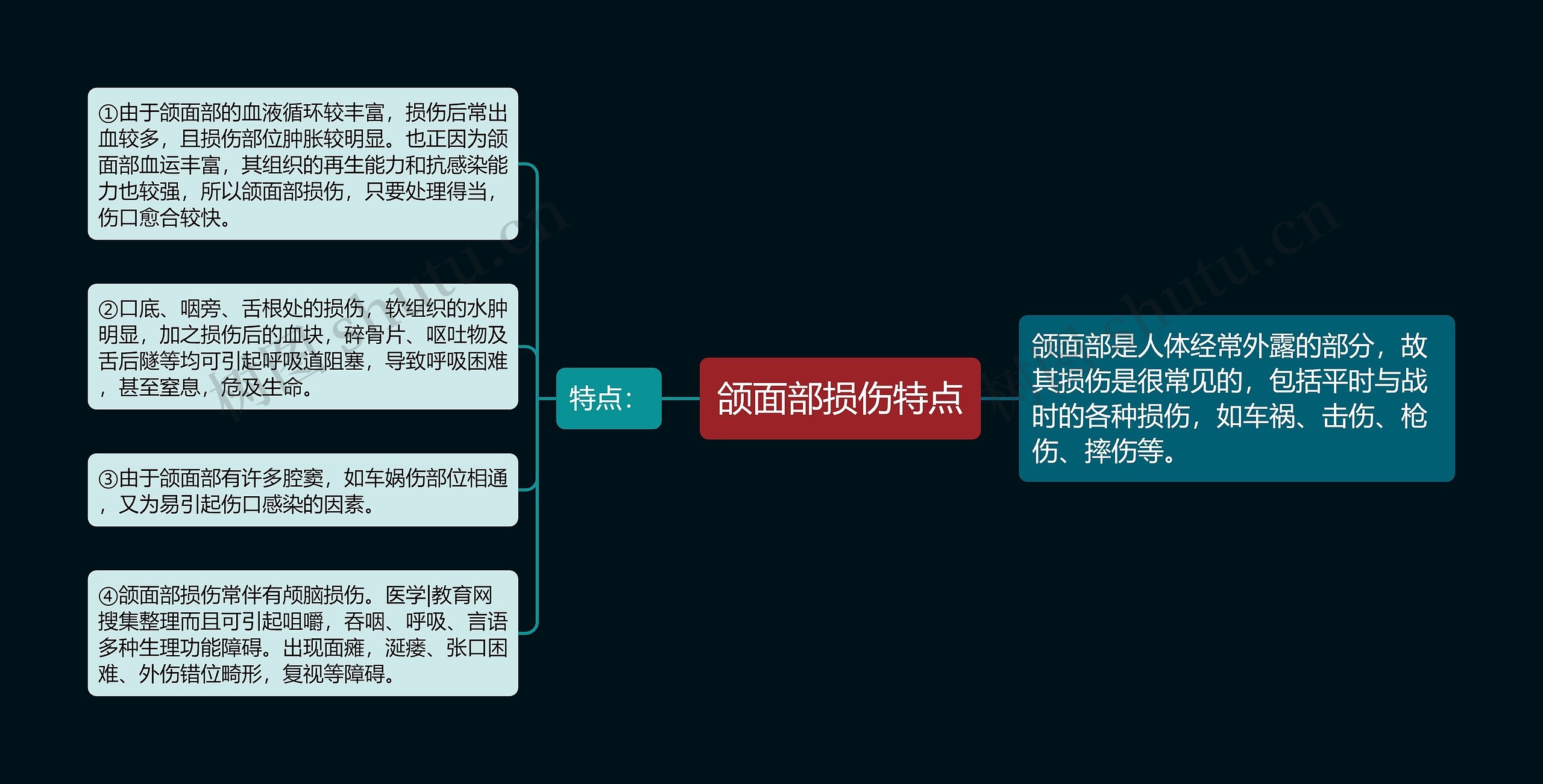 颌面部损伤特点思维导图