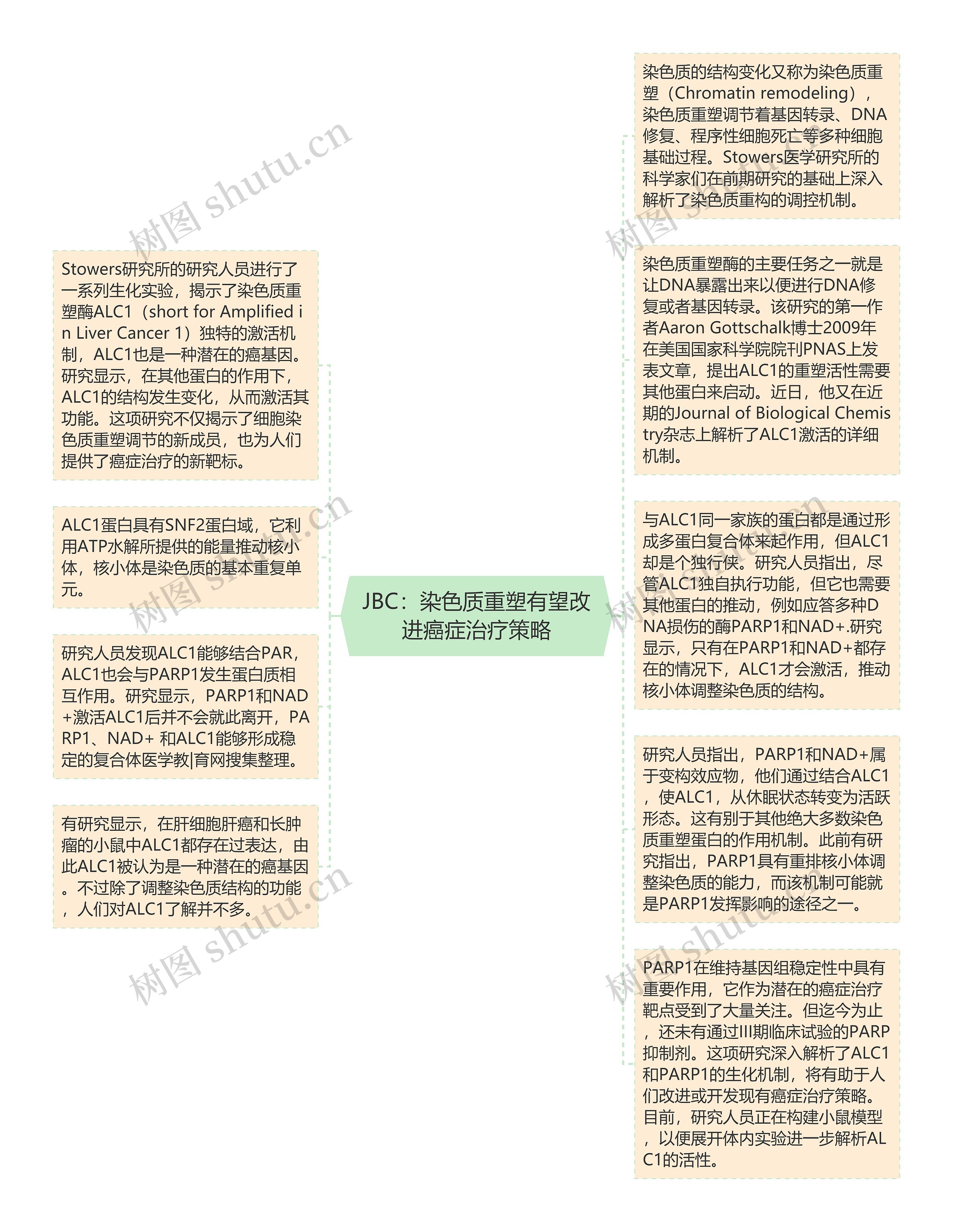 JBC：染色质重塑有望改进癌症治疗策略