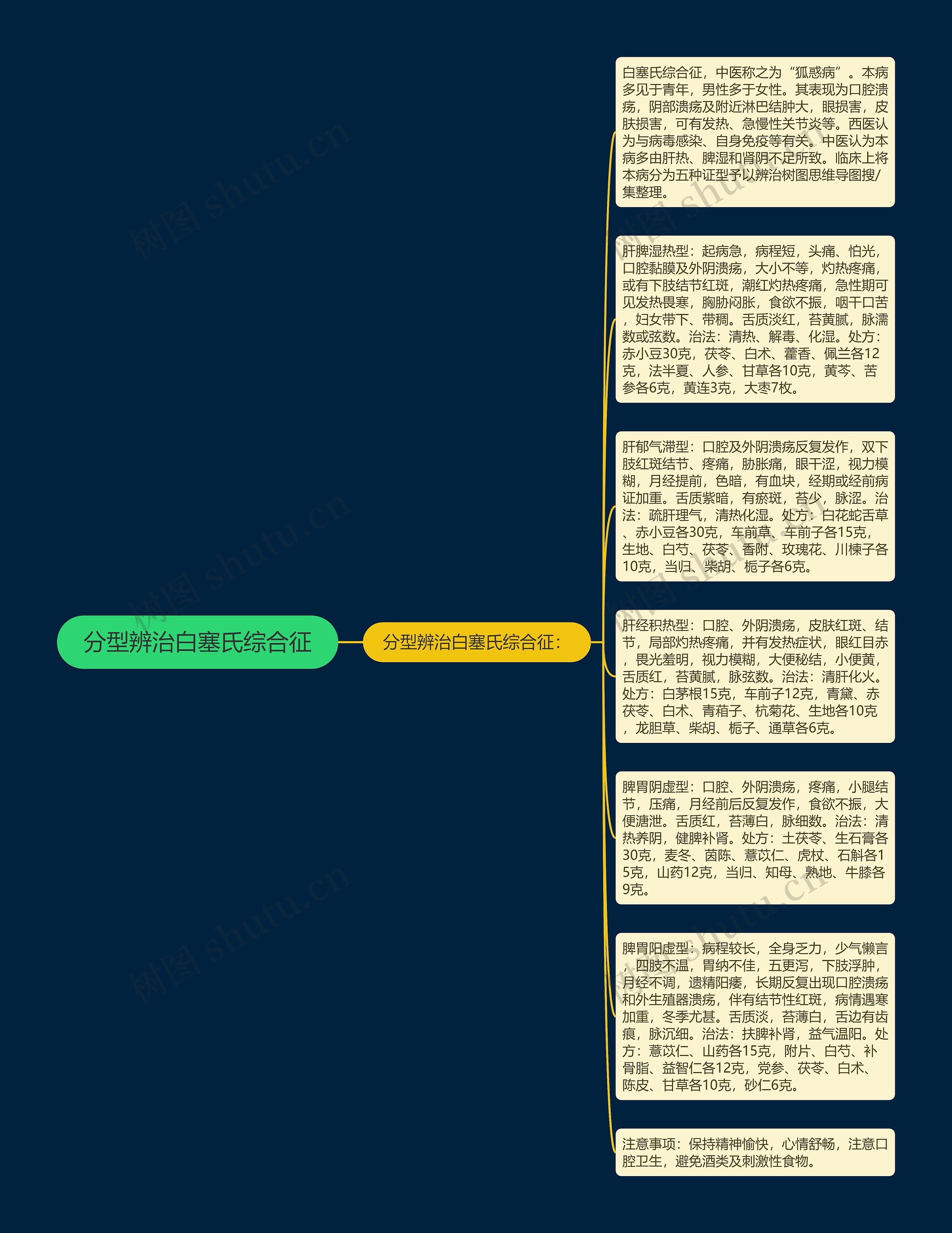 分型辨治白塞氏综合征思维导图