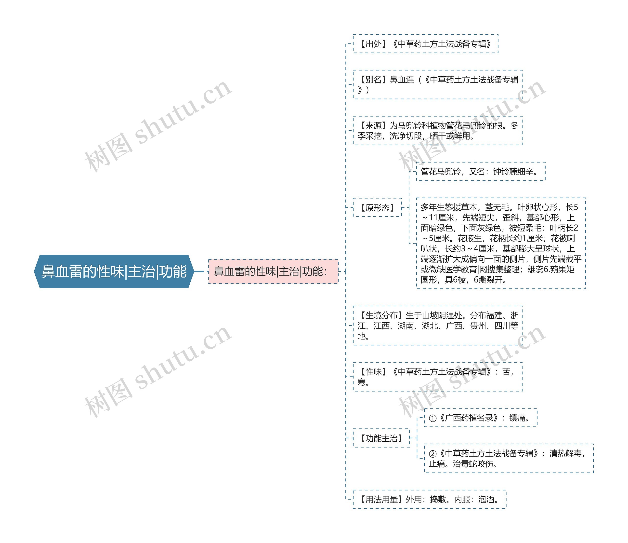 鼻血雷的性味|主治|功能思维导图