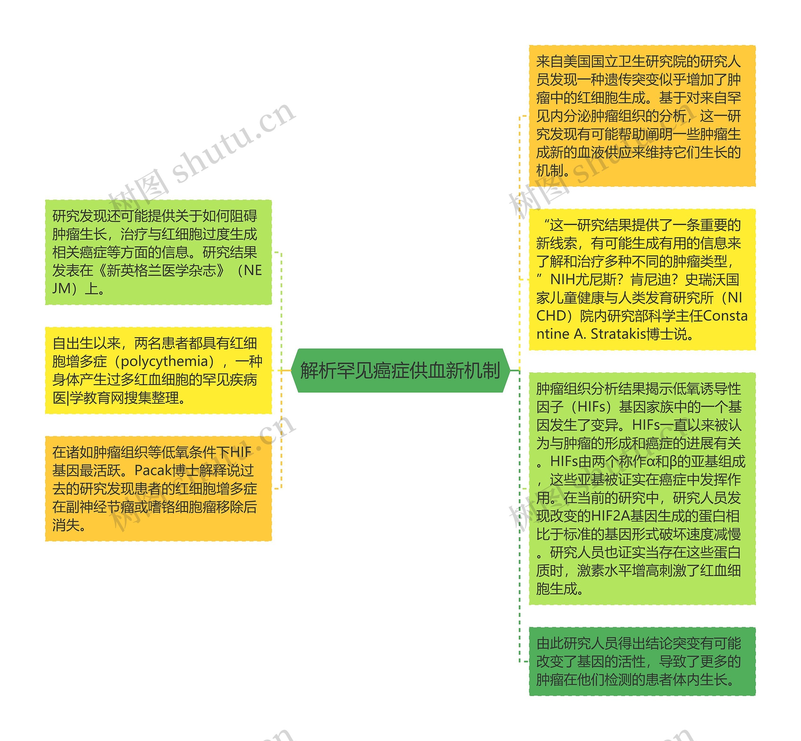 解析罕见癌症供血新机制思维导图