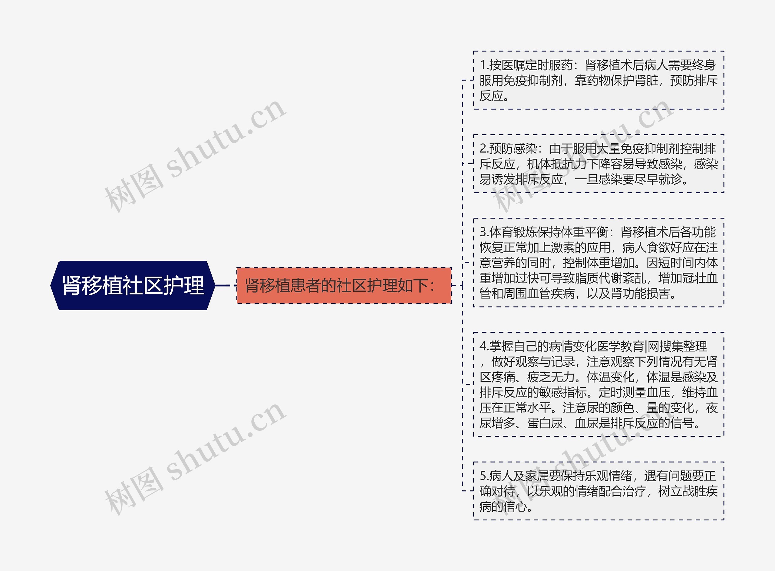 肾移植社区护理思维导图