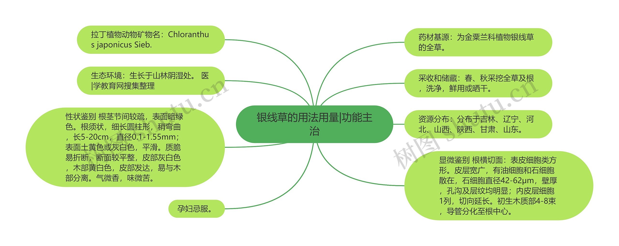 银线草的用法用量|功能主治思维导图