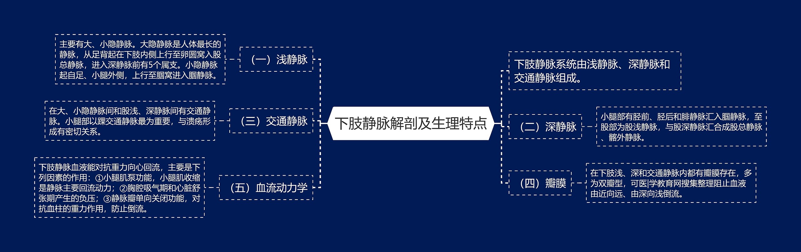 下肢静脉解剖及生理特点思维导图