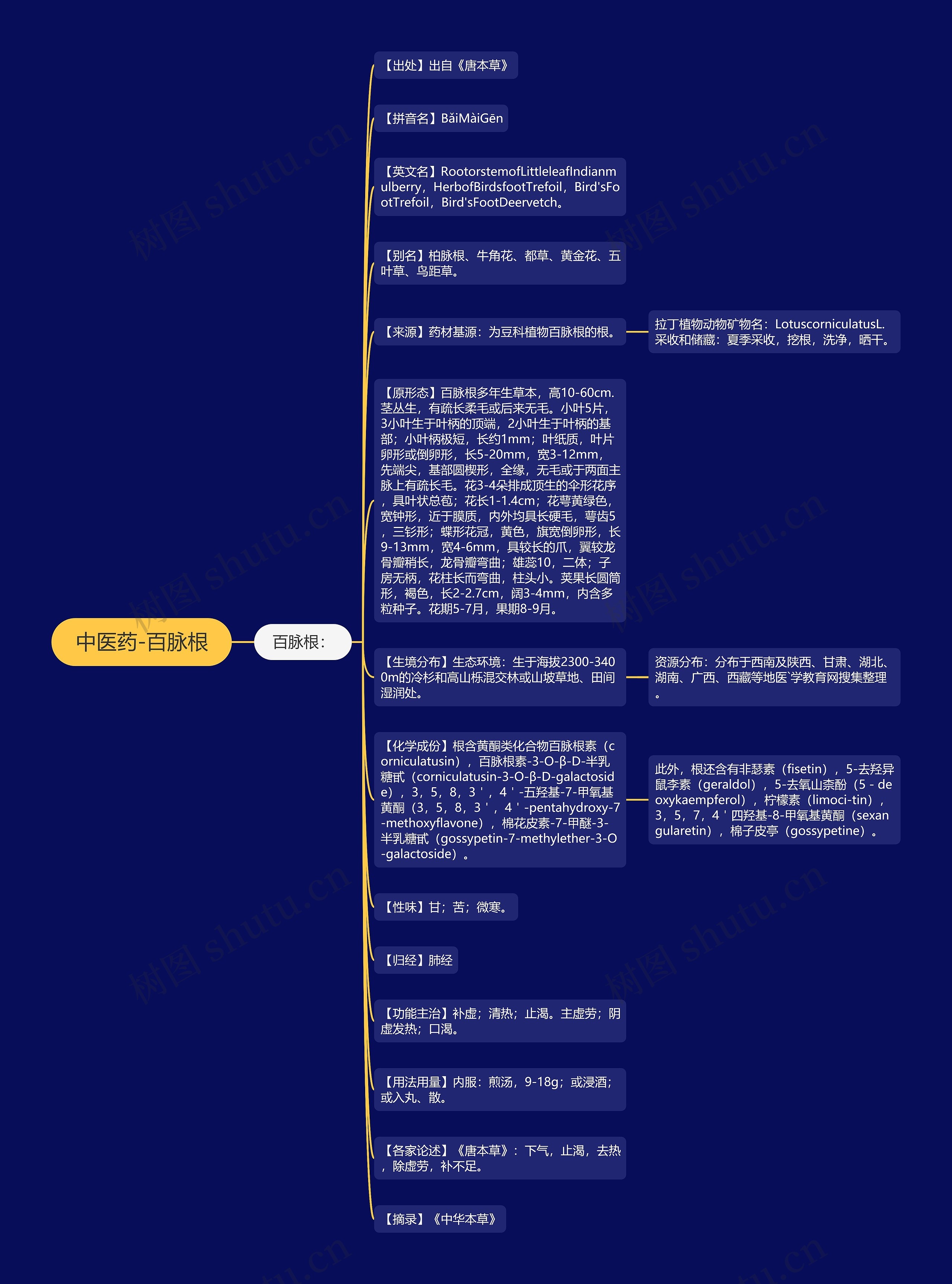 中医药-百脉根思维导图