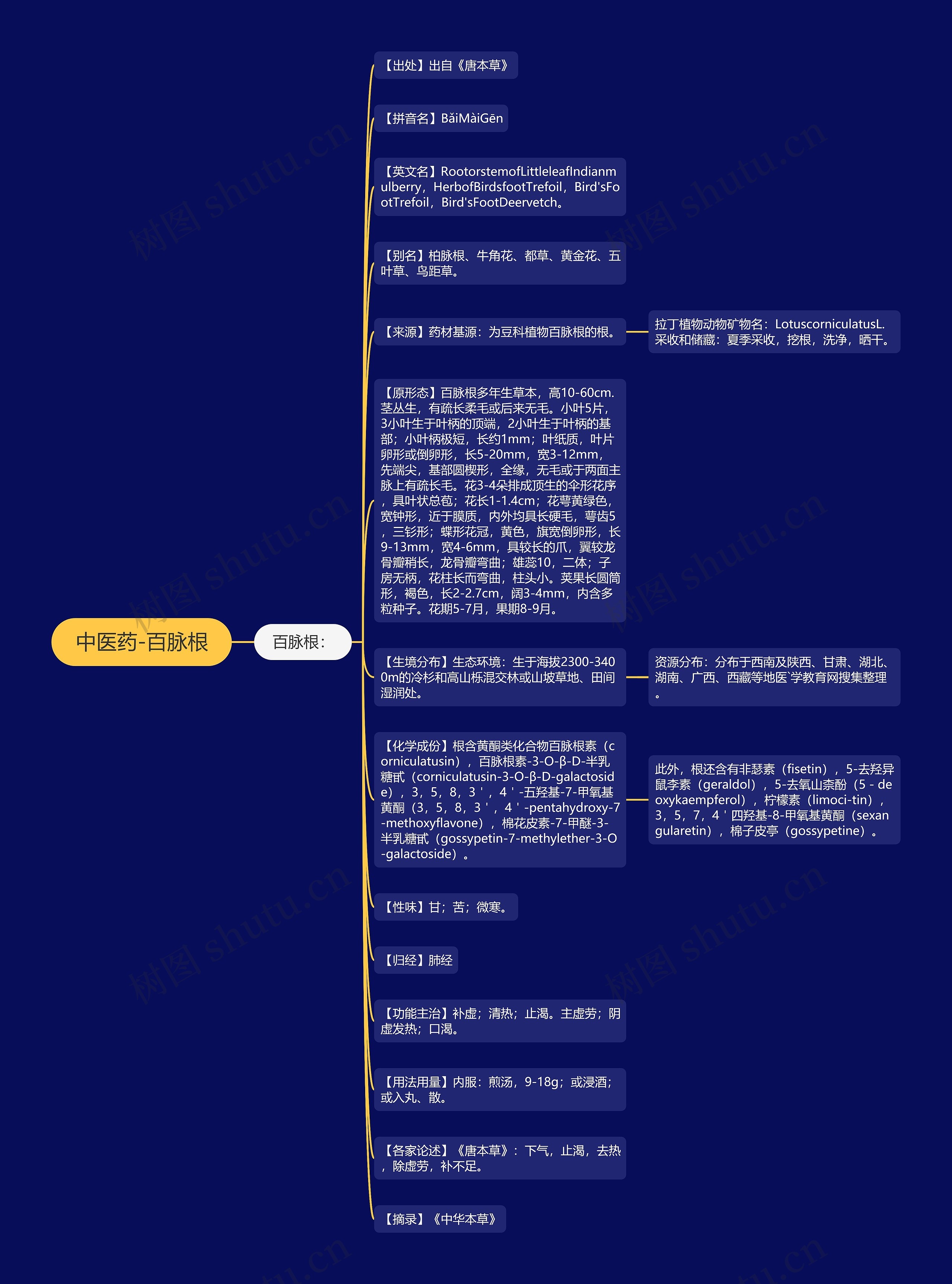 中医药-百脉根思维导图高清图 中医药-百脉根思维导图