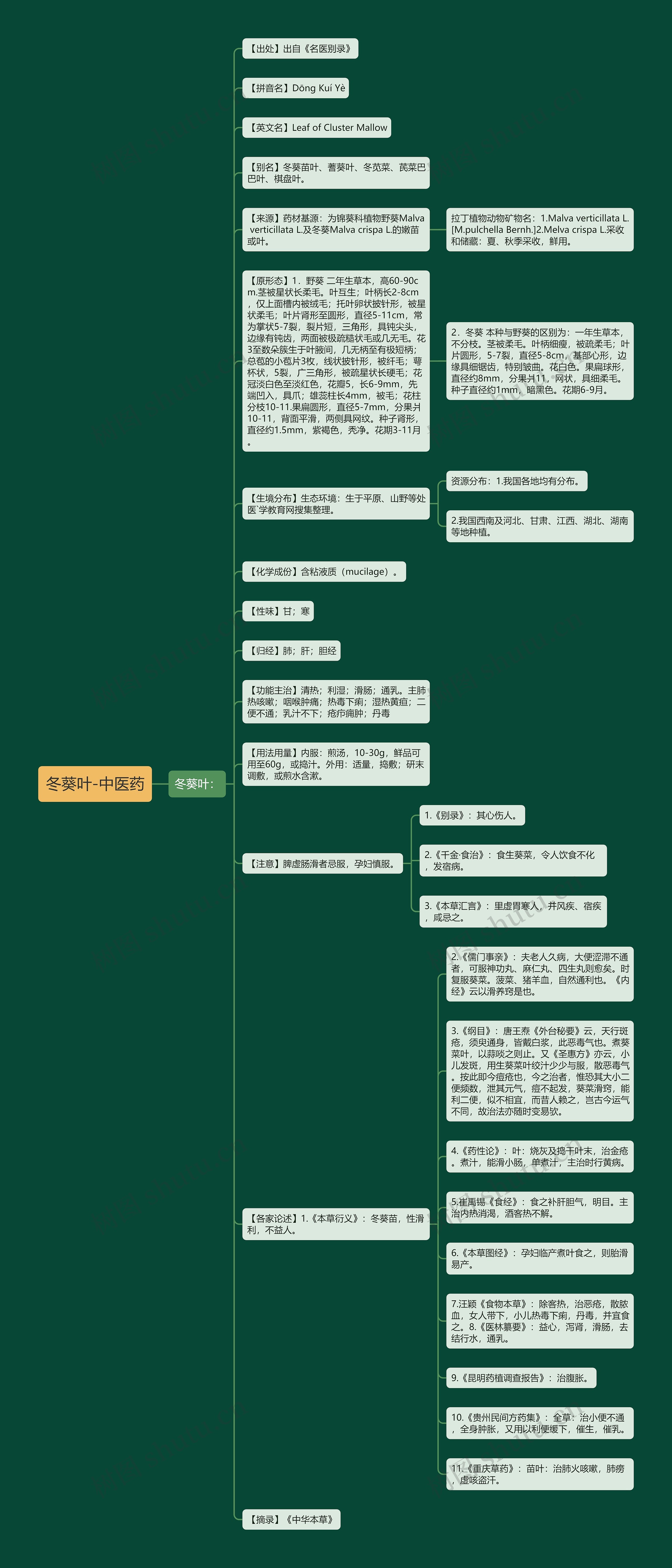 冬葵叶-中医药