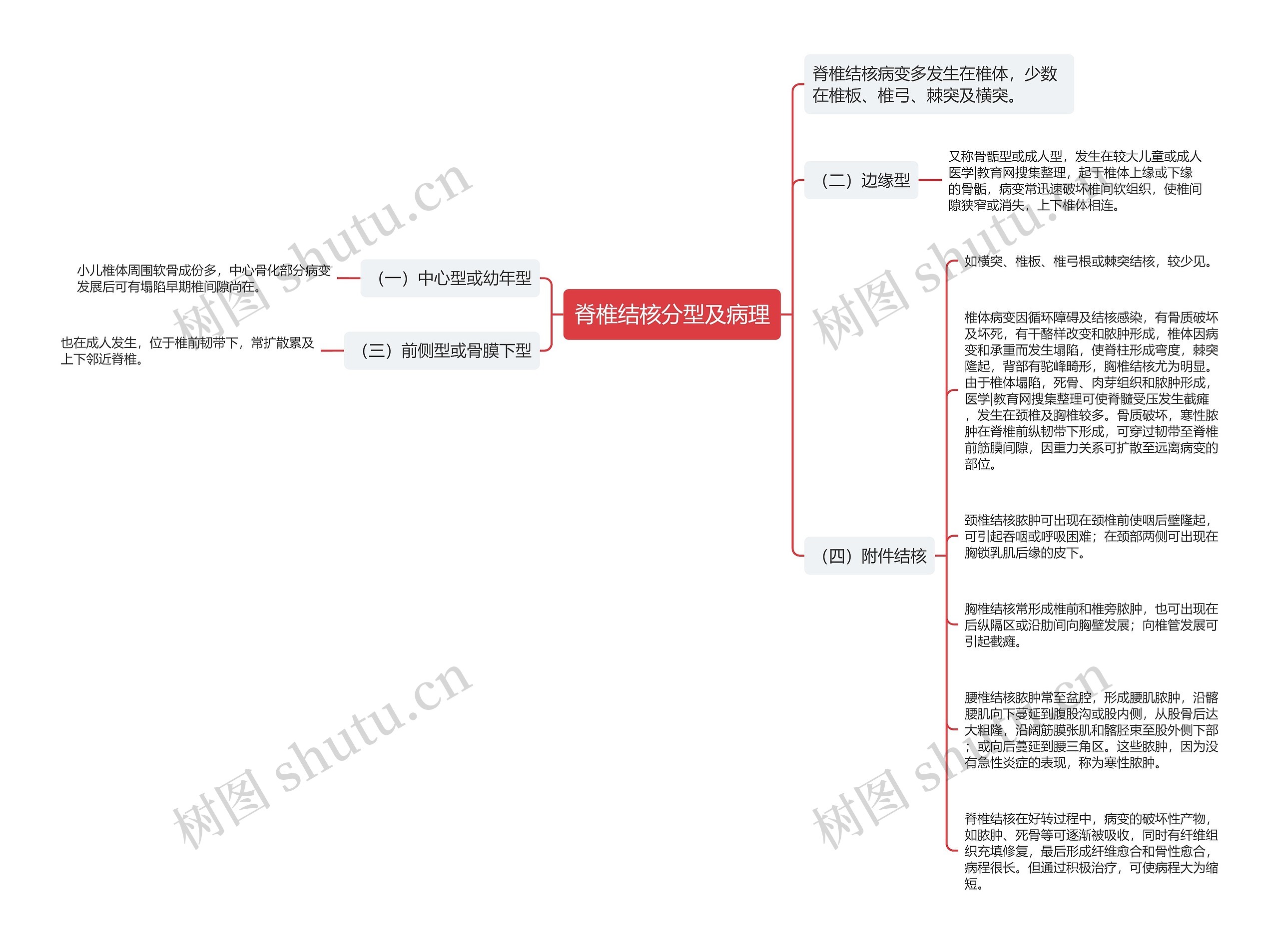 脊椎结核分型及病理思维导图