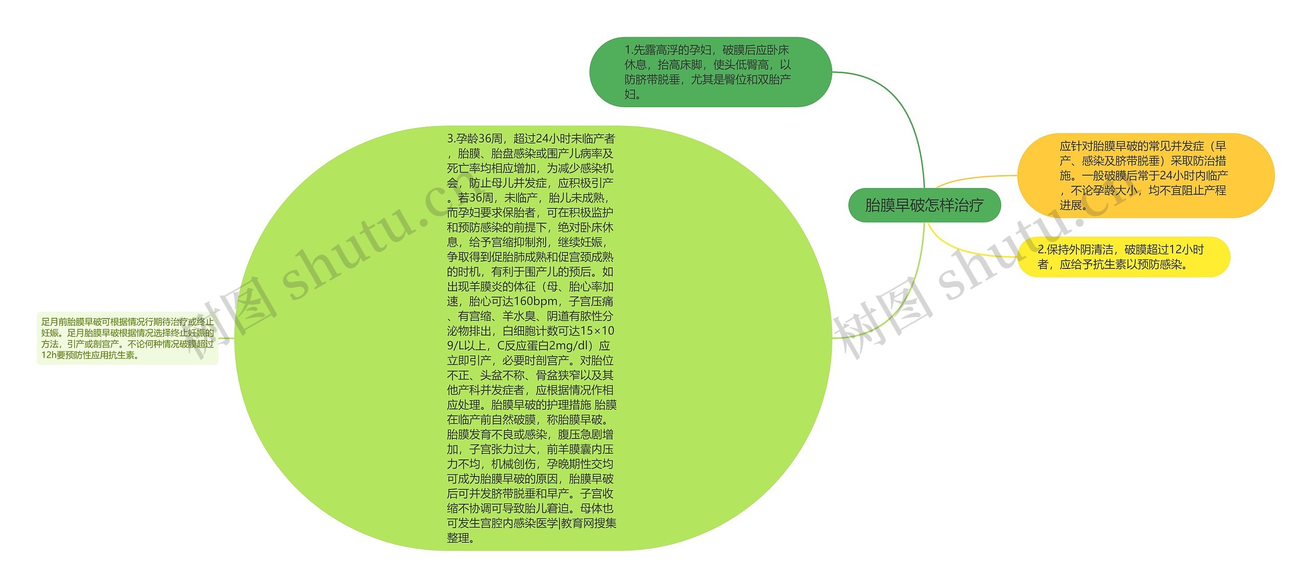 胎膜早破怎样治疗思维导图