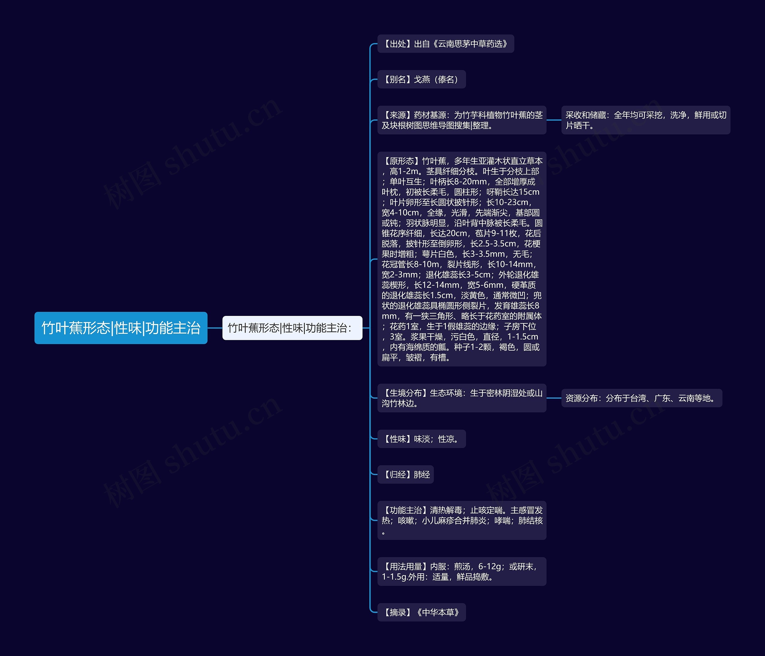 竹叶蕉形态|性味|功能主治思维导图