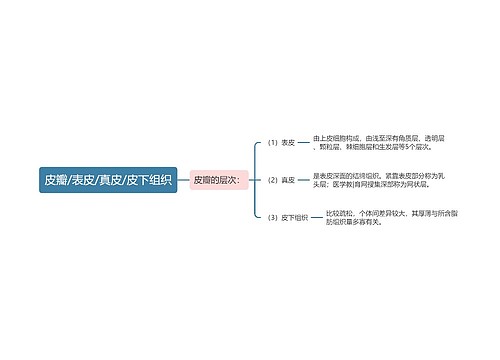 皮瓣/表皮/真皮/皮下组织