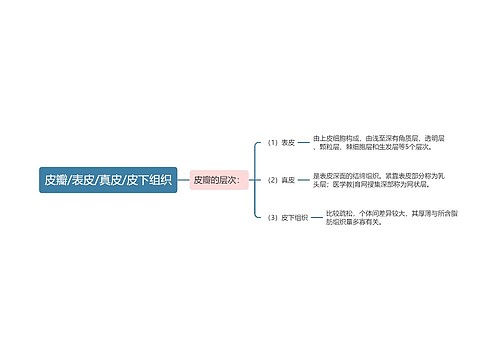 皮瓣/表皮/真皮/皮下组织