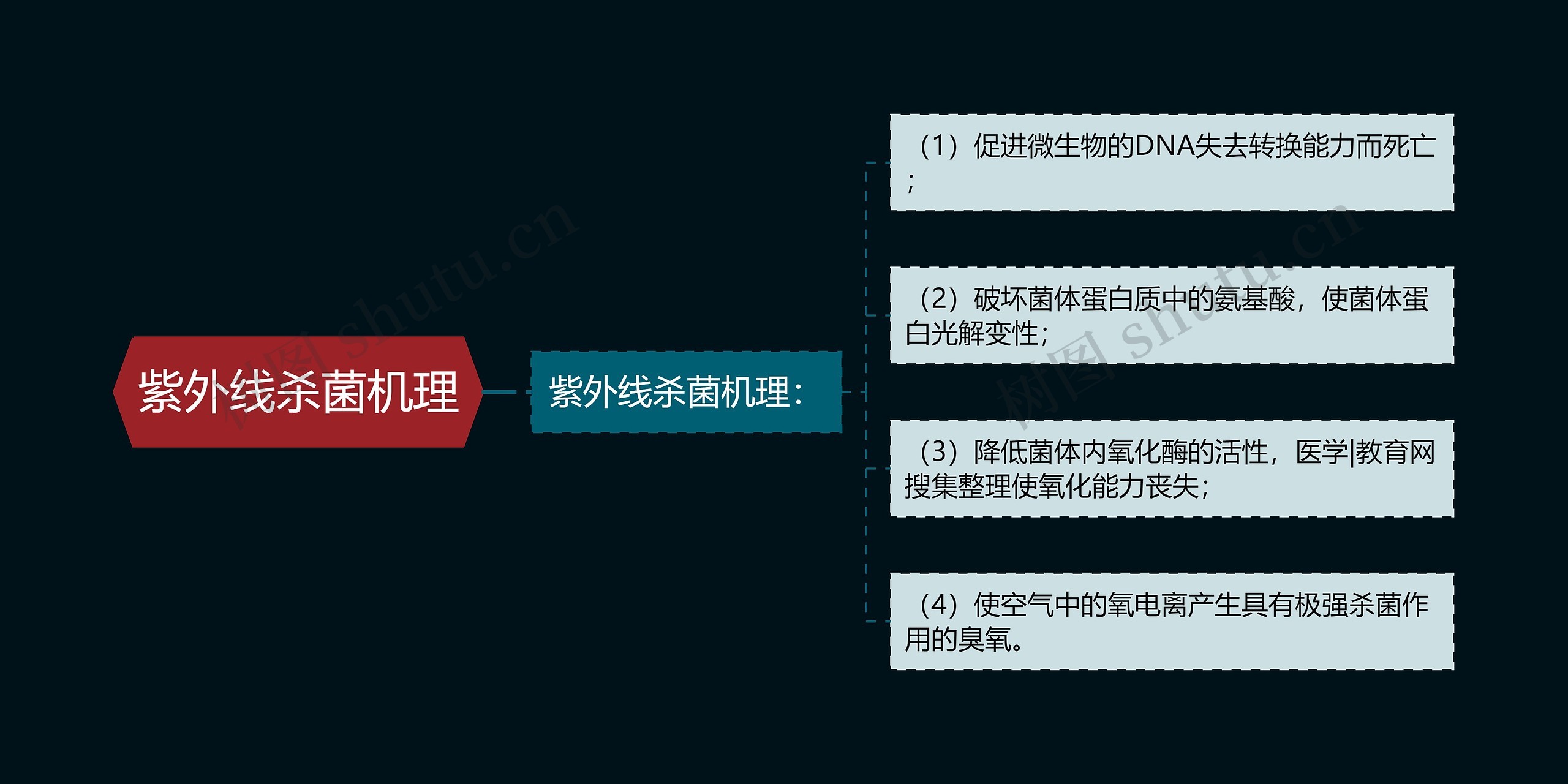 紫外线杀菌机理思维导图