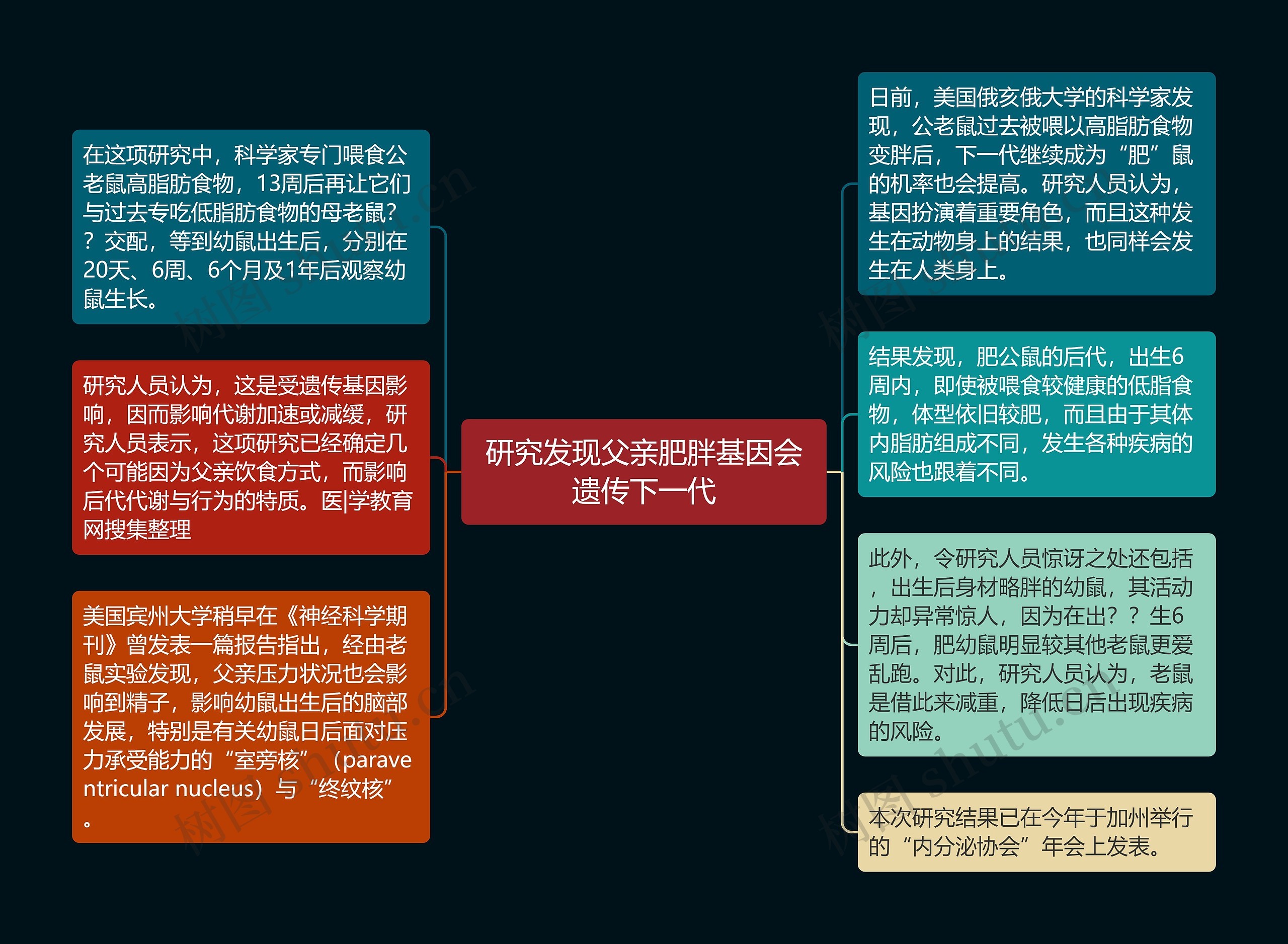 研究发现父亲肥胖基因会遗传下一代思维导图