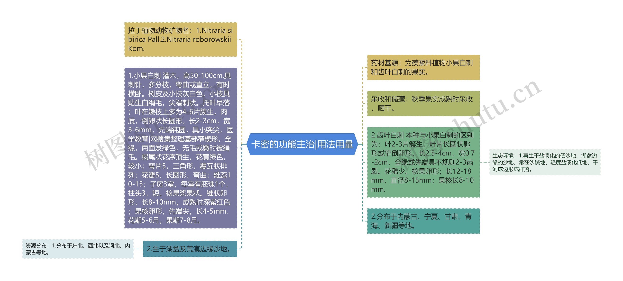 卡密的功能主治|用法用量思维导图