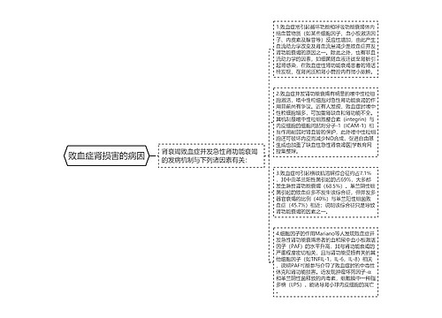 败血症肾损害的病因