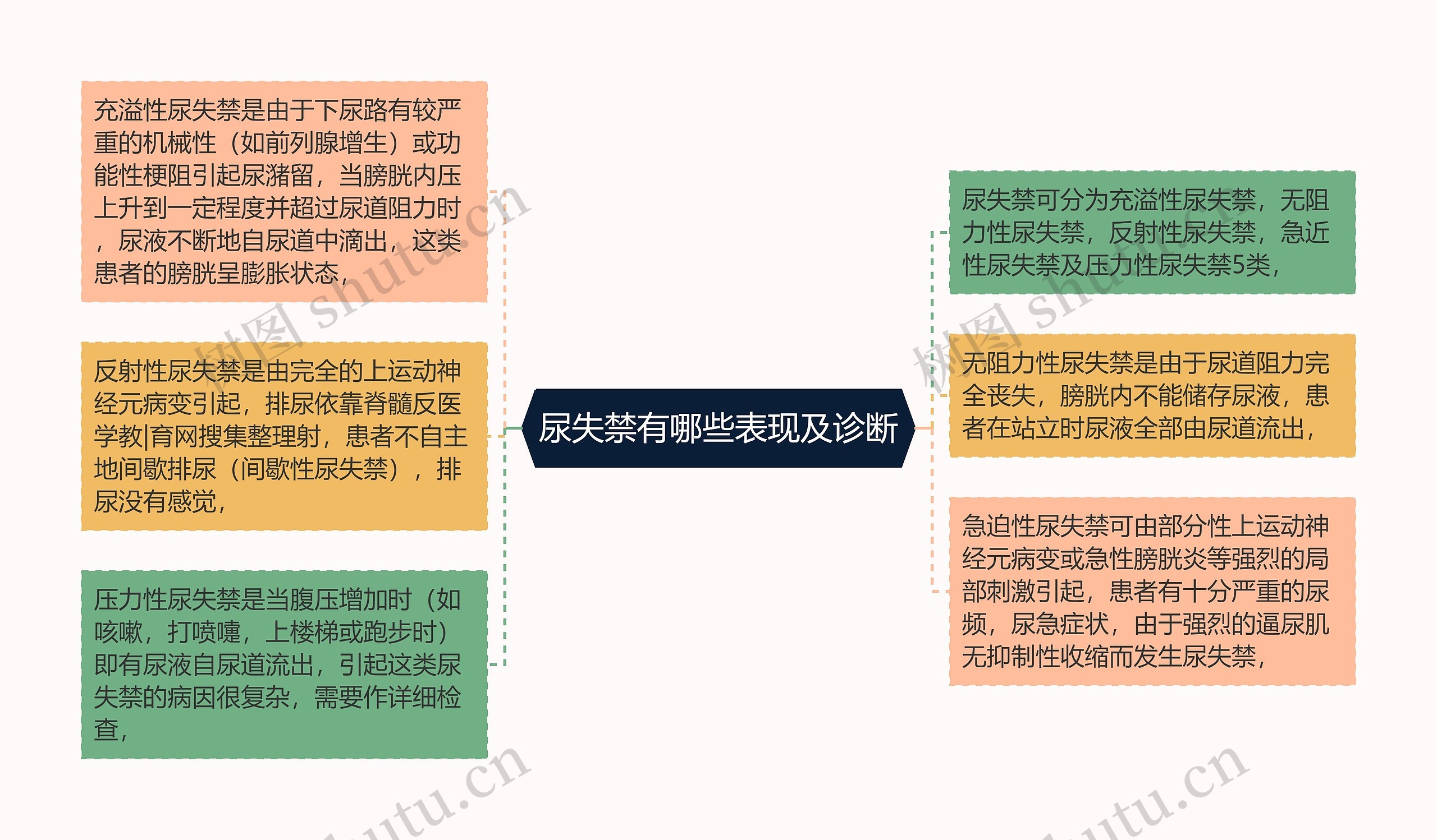 尿失禁有哪些表现及诊断思维导图