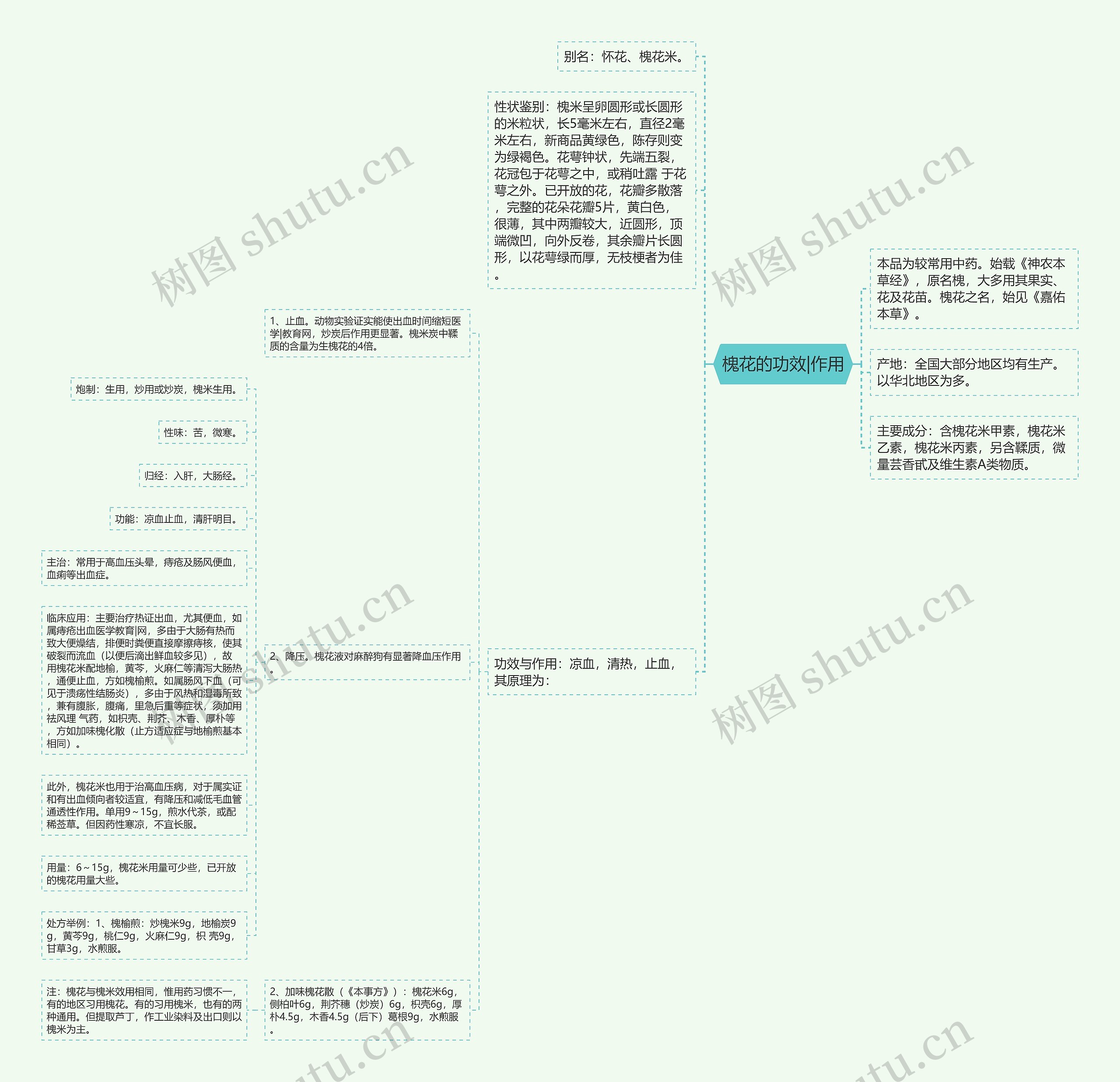 槐花的功效|作用思维导图