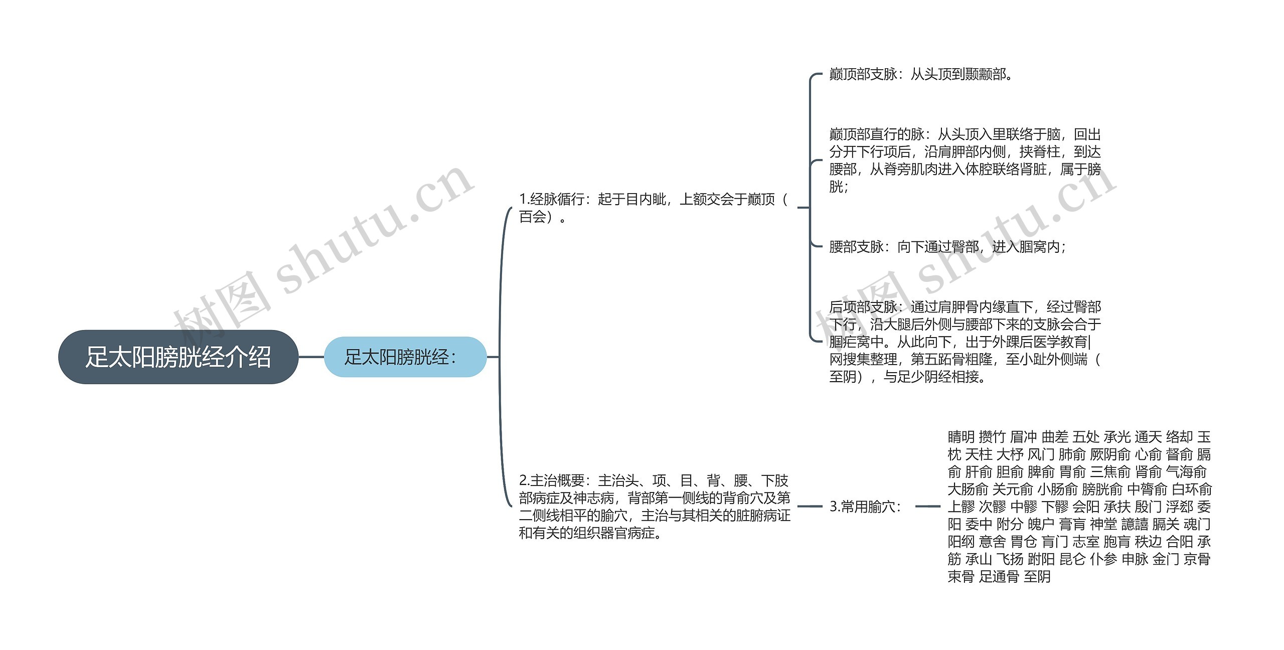 足太阳膀胱经介绍思维导图