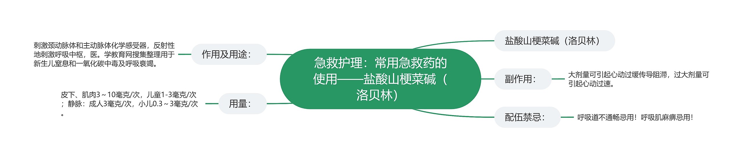 急救护理:常用急救药的使用——盐酸山梗菜碱(洛贝林) 急救护理:常用急救药的使用——盐酸山梗菜碱(洛贝林)