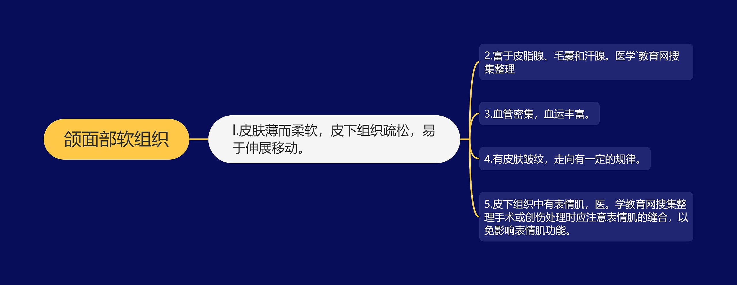 颌面部软组织 颌面部软组织