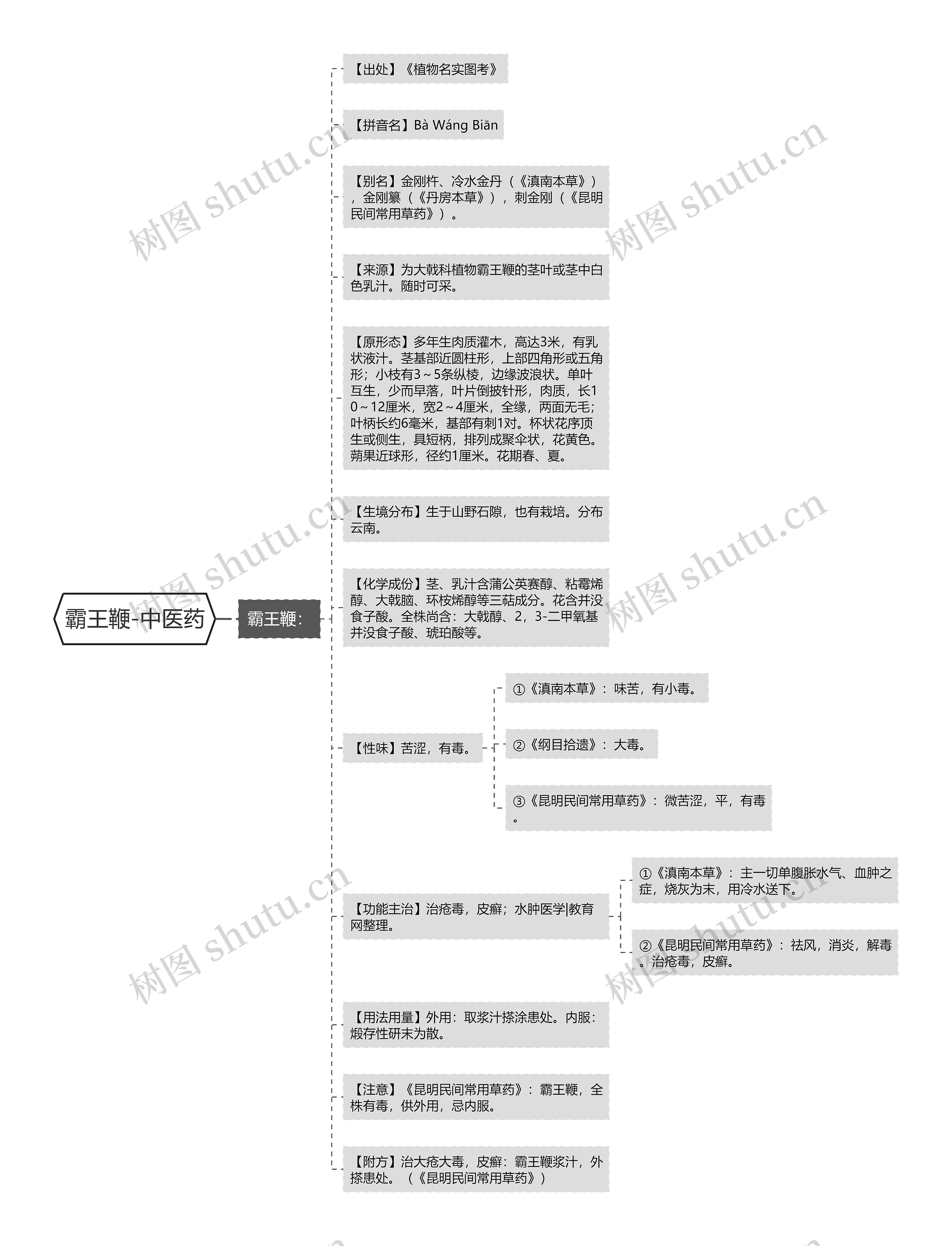 霸王鞭-中医药 霸王鞭-中医药