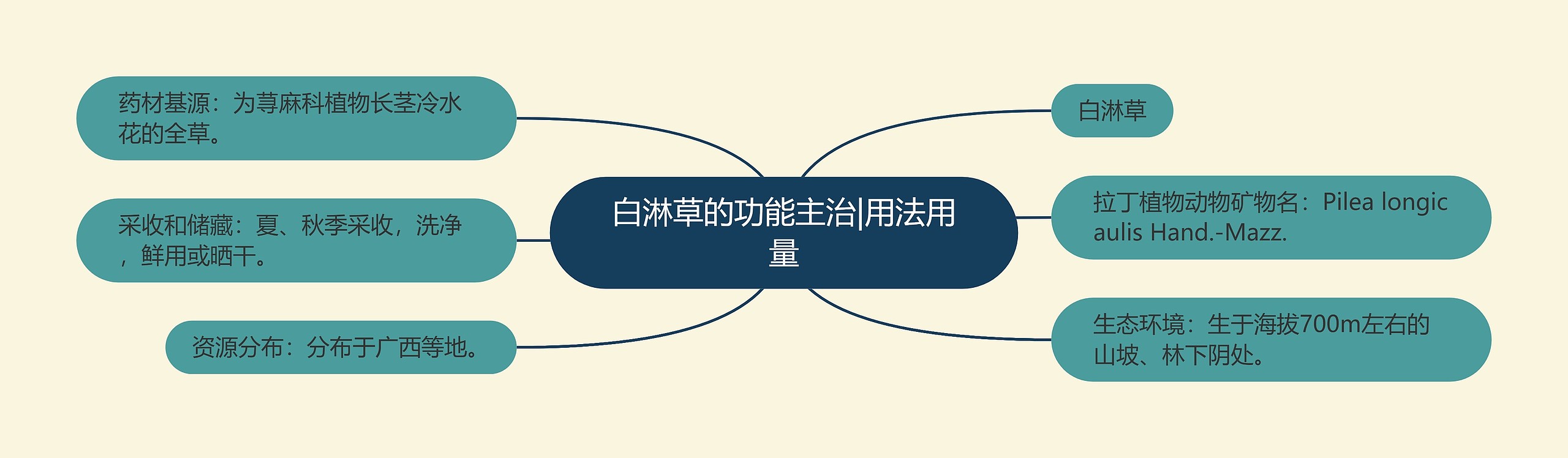 白淋草的功能主治|用法用量 白淋草的功能主治|用法用量