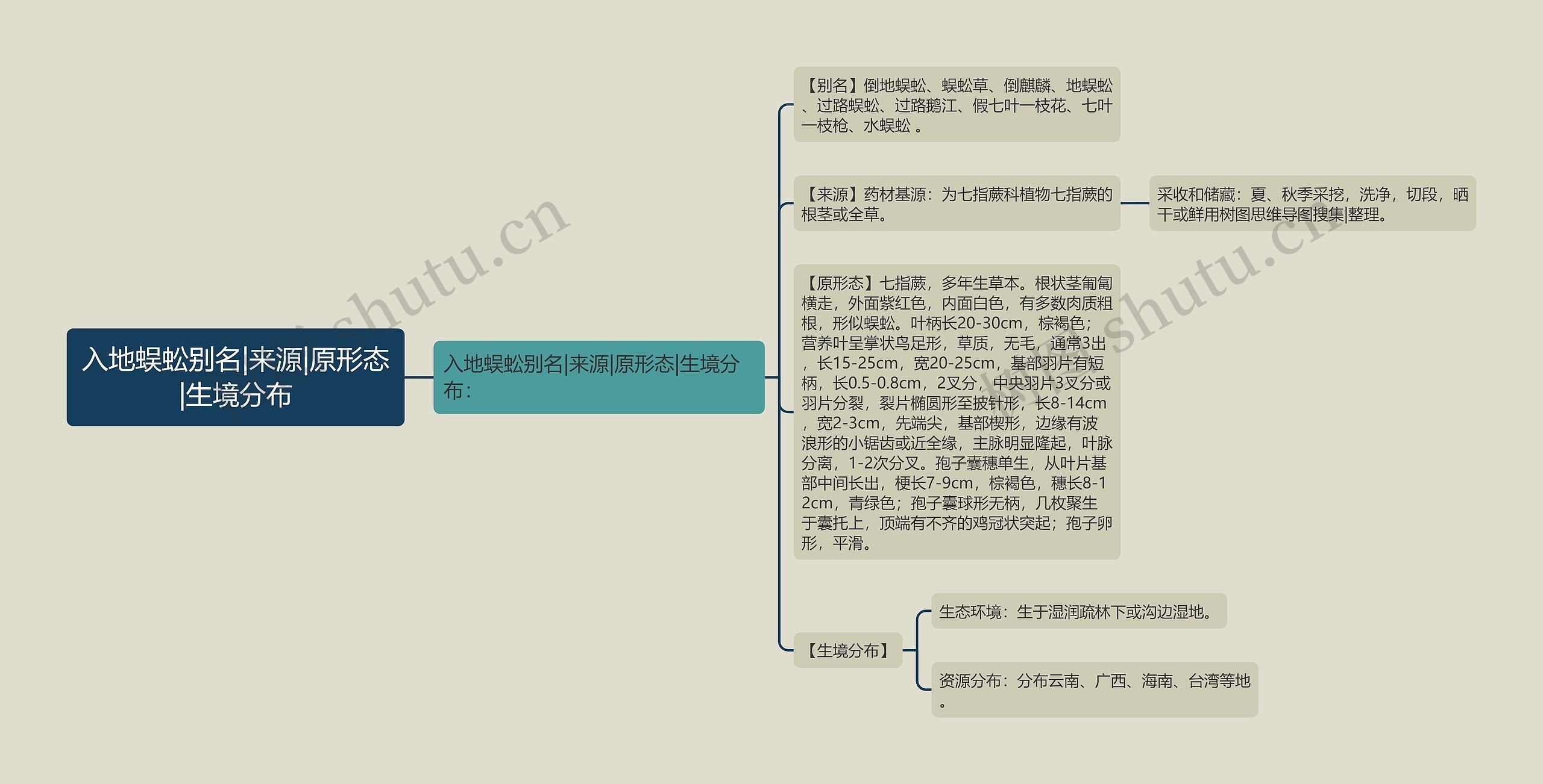 入地蜈蚣别名|来源|原形态|生境分布