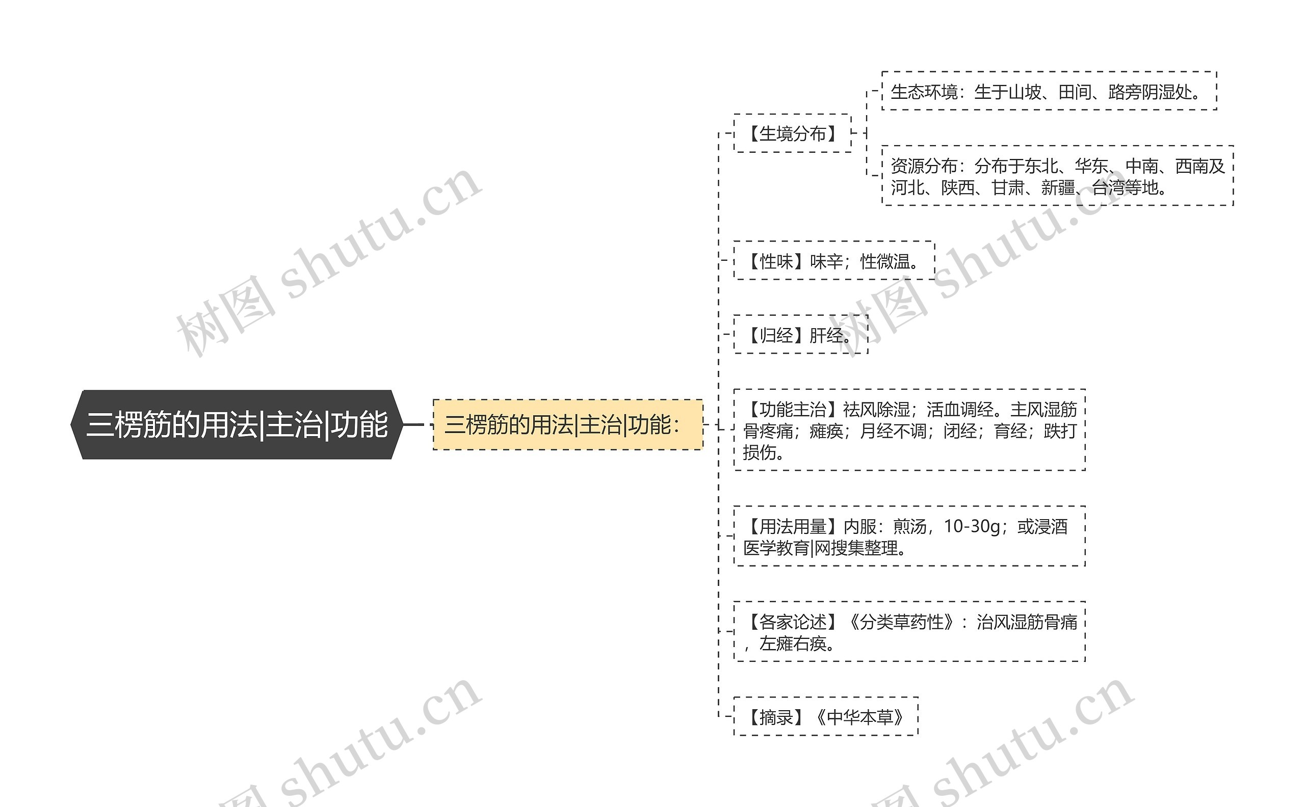 三楞筋的用法|主治|功能思维导图