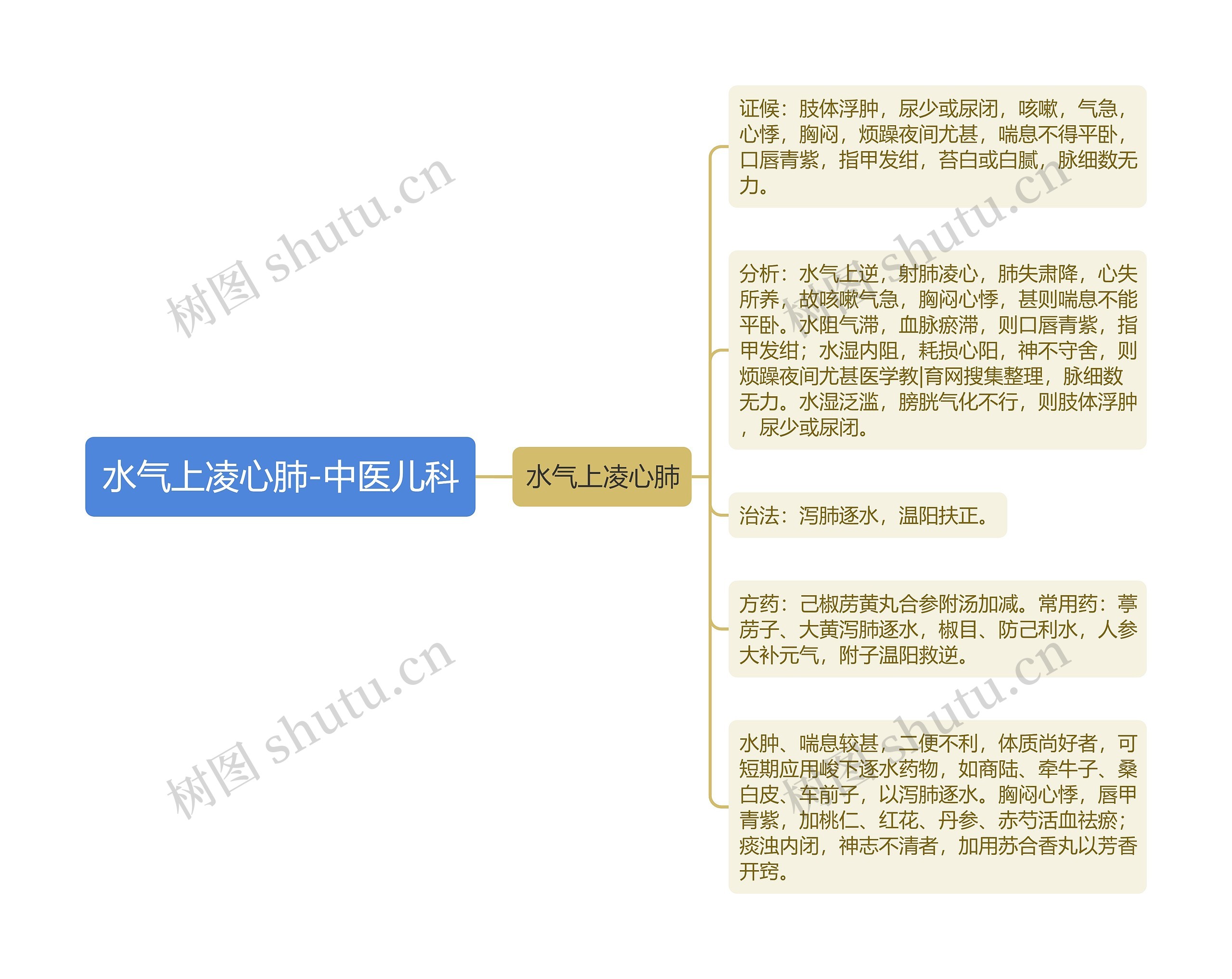 水气上凌心肺-中医儿科思维导图