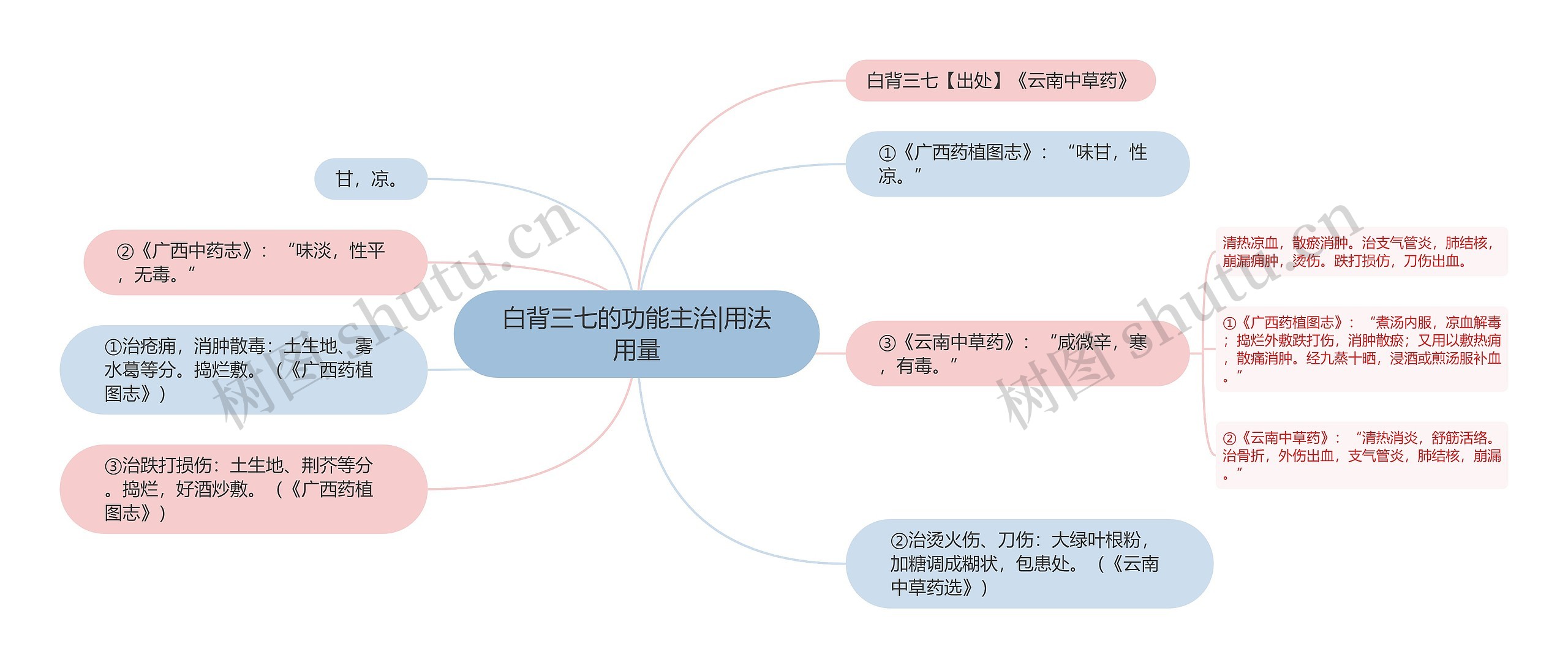 白背三七的功能主治|用法用量思维导图