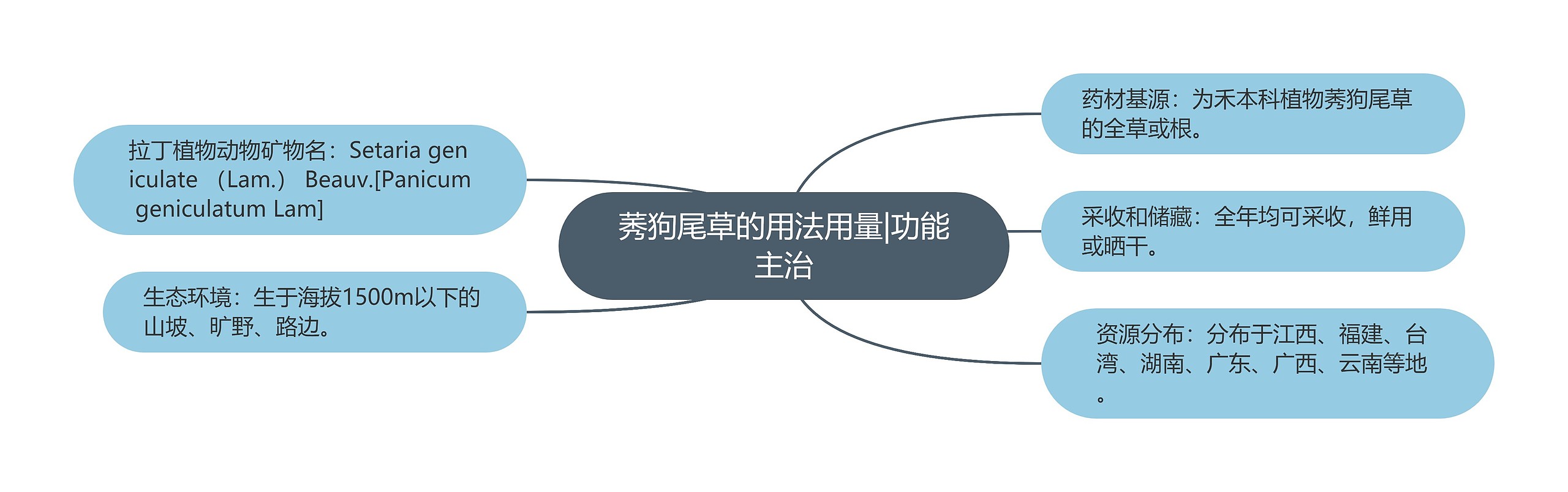 莠狗尾草的用法用量|功能主治 莠狗尾草的用法用量|功能主治