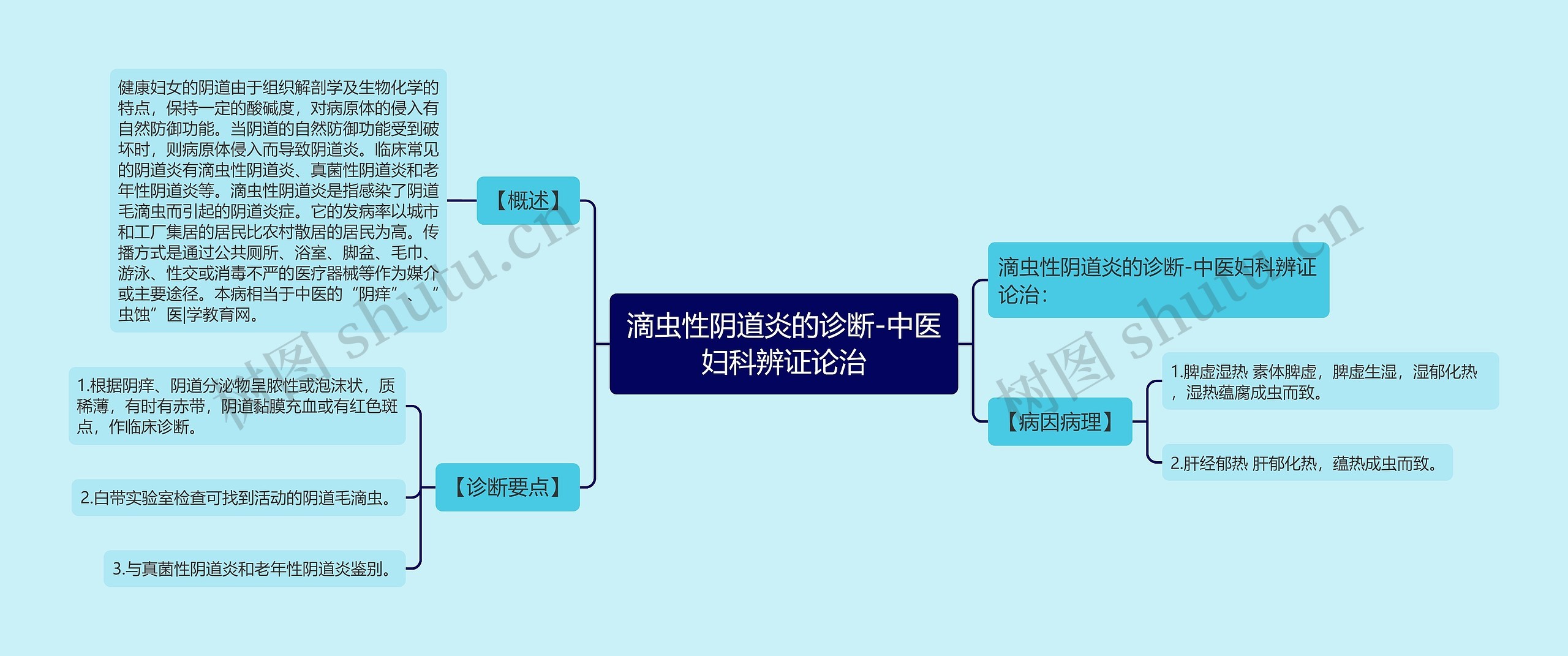 滴虫性阴道炎的诊断-中医妇科辨证论治