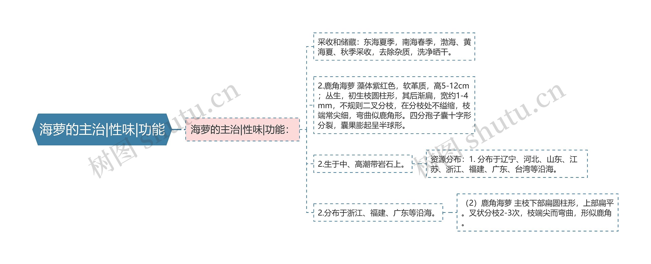 海萝的主治|性味|功能思维导图