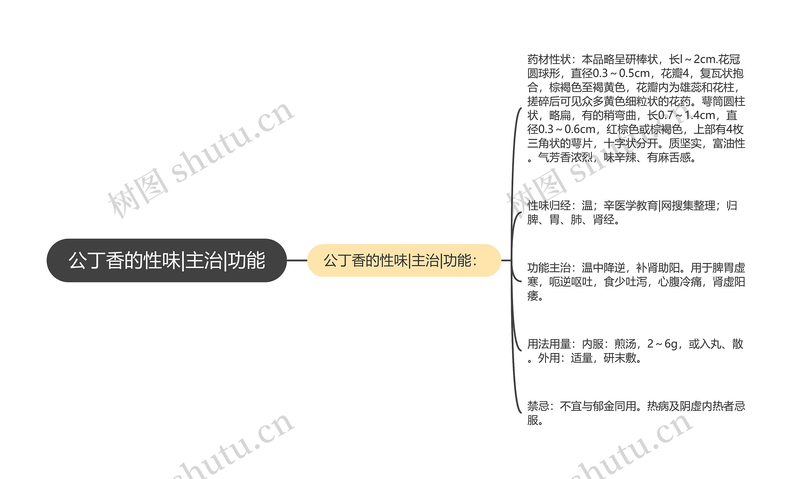 公丁香的性味|主治|功能思维导图