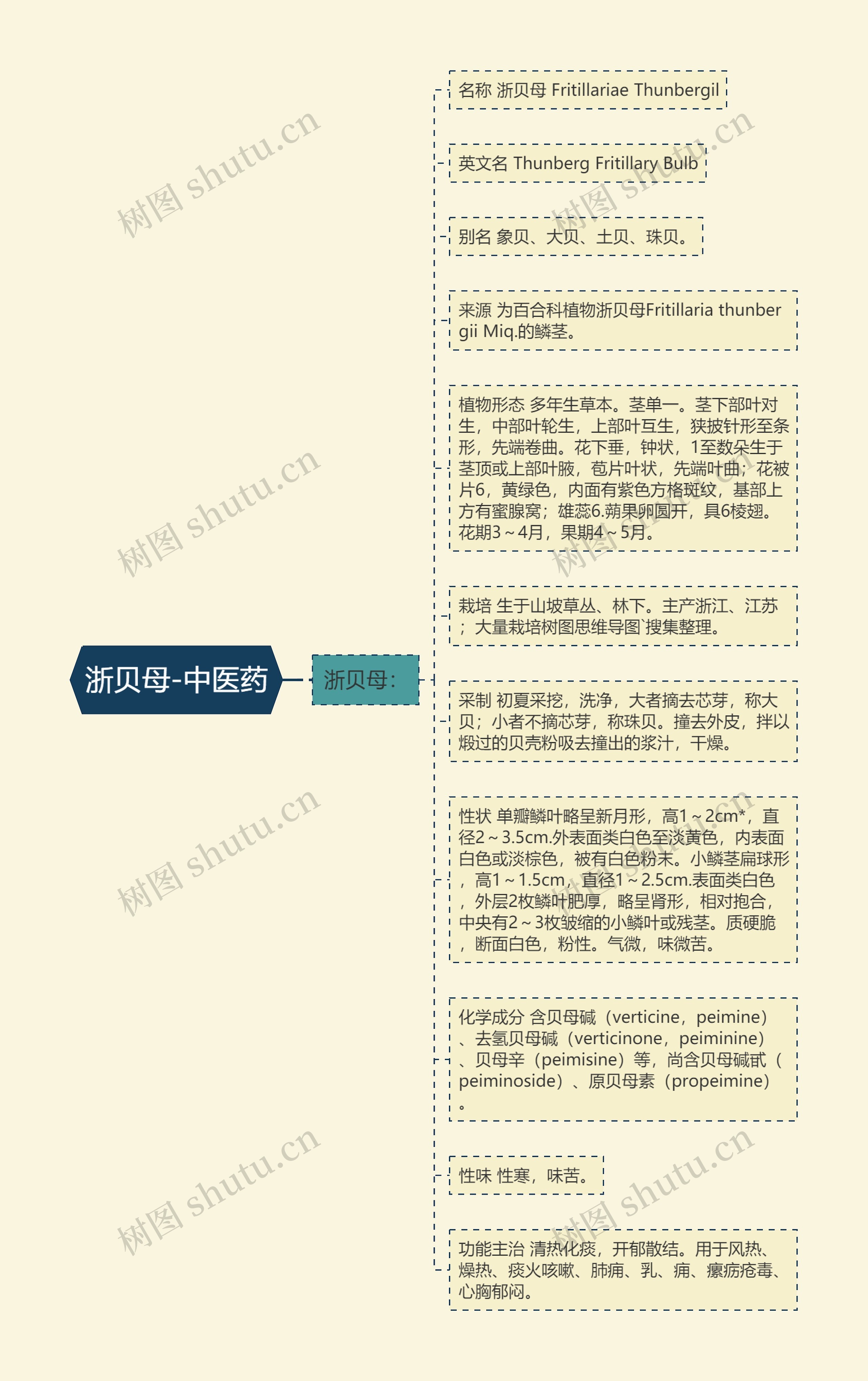 浙贝母-中医药思维导图