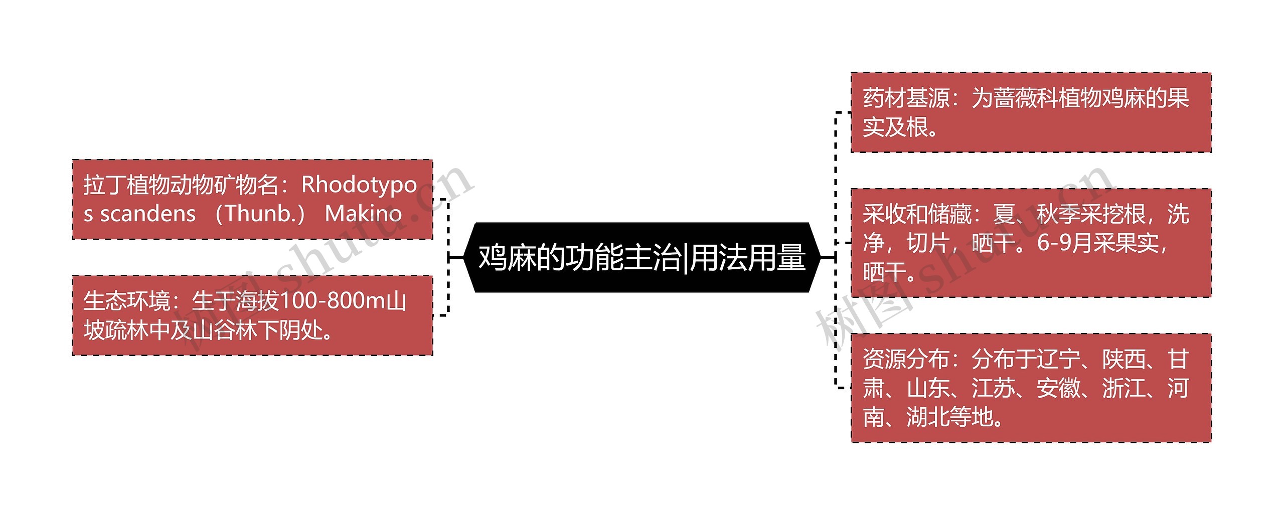 鸡麻的功能主治|用法用量