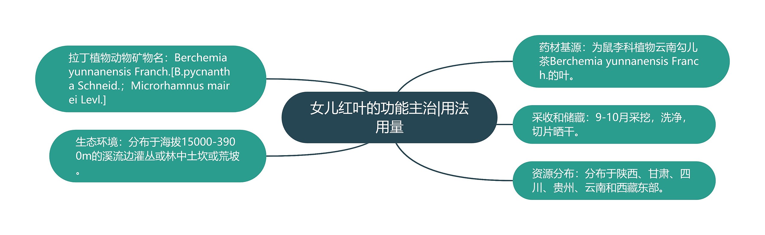 女儿红叶的功能主治|用法用量 女儿红叶的功能主治|用法用量