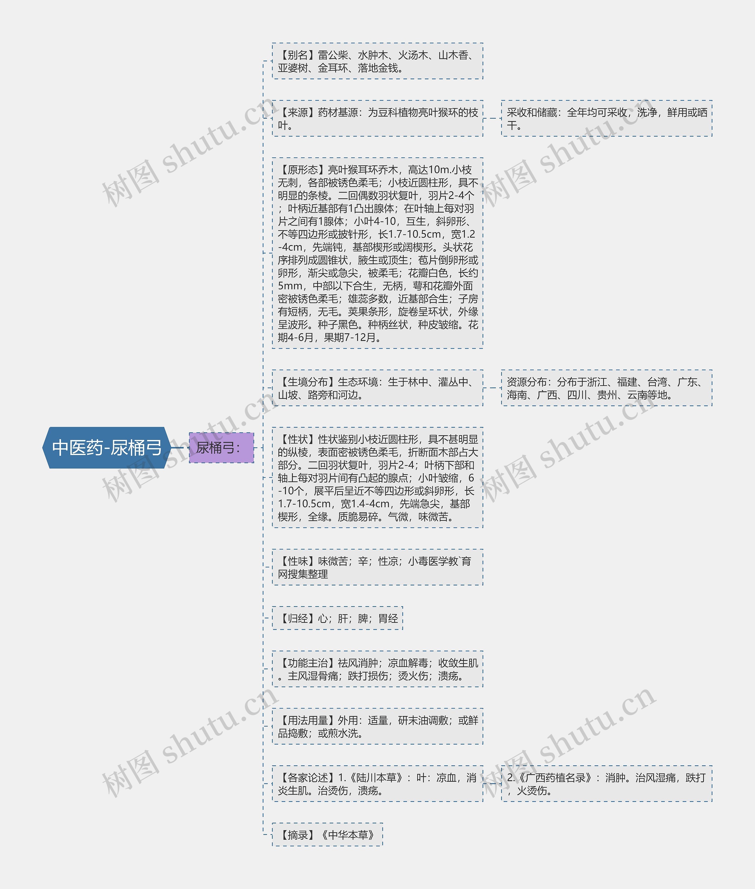 中医药-尿桶弓思维导图