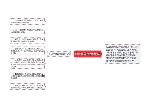 口腔境界及表面标志