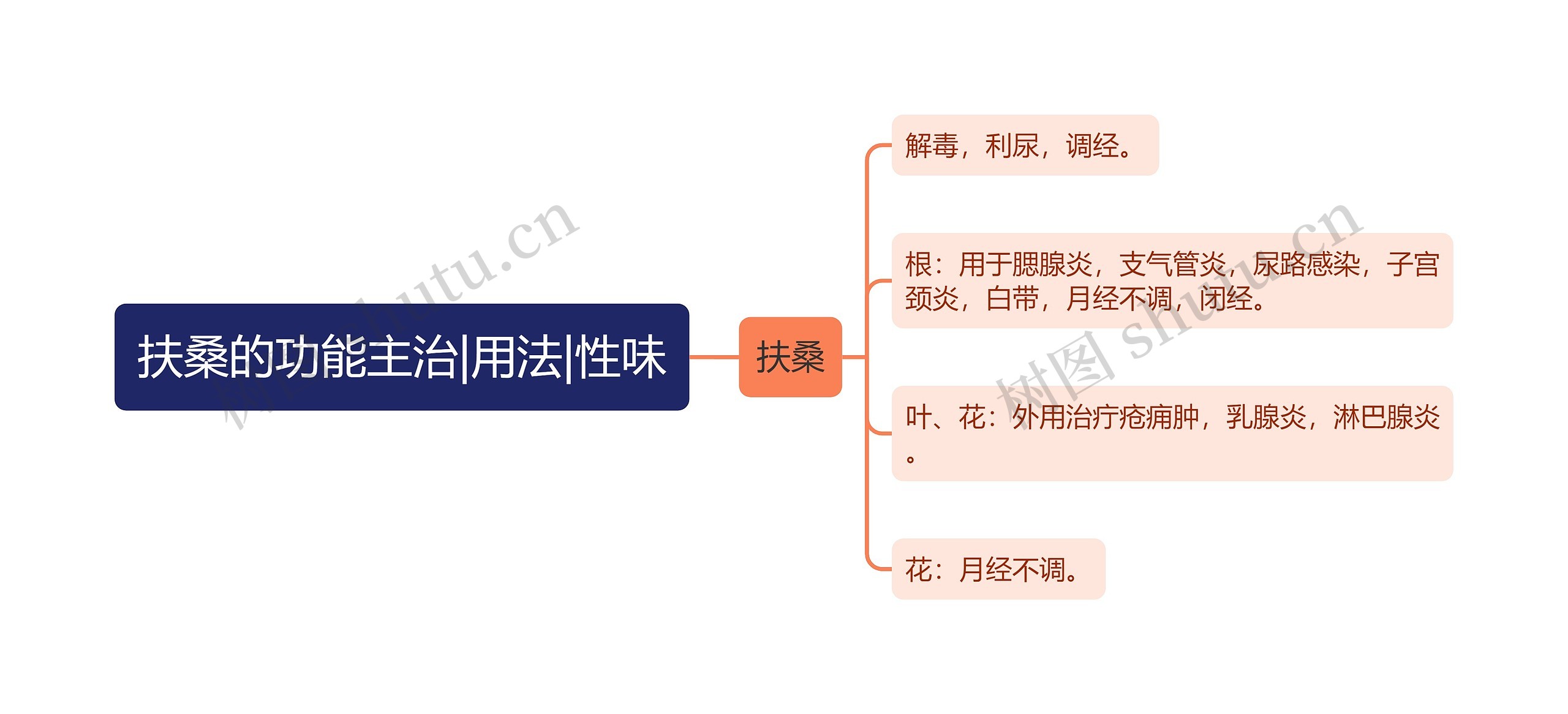 扶桑的功能主治|用法|性味