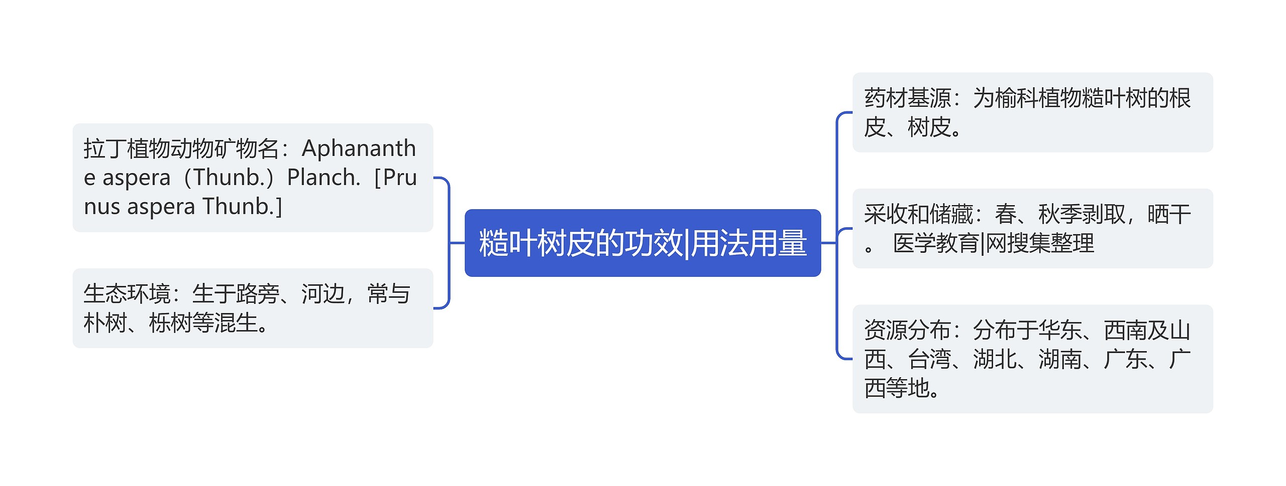 糙叶树皮的功效|用法用量思维导图