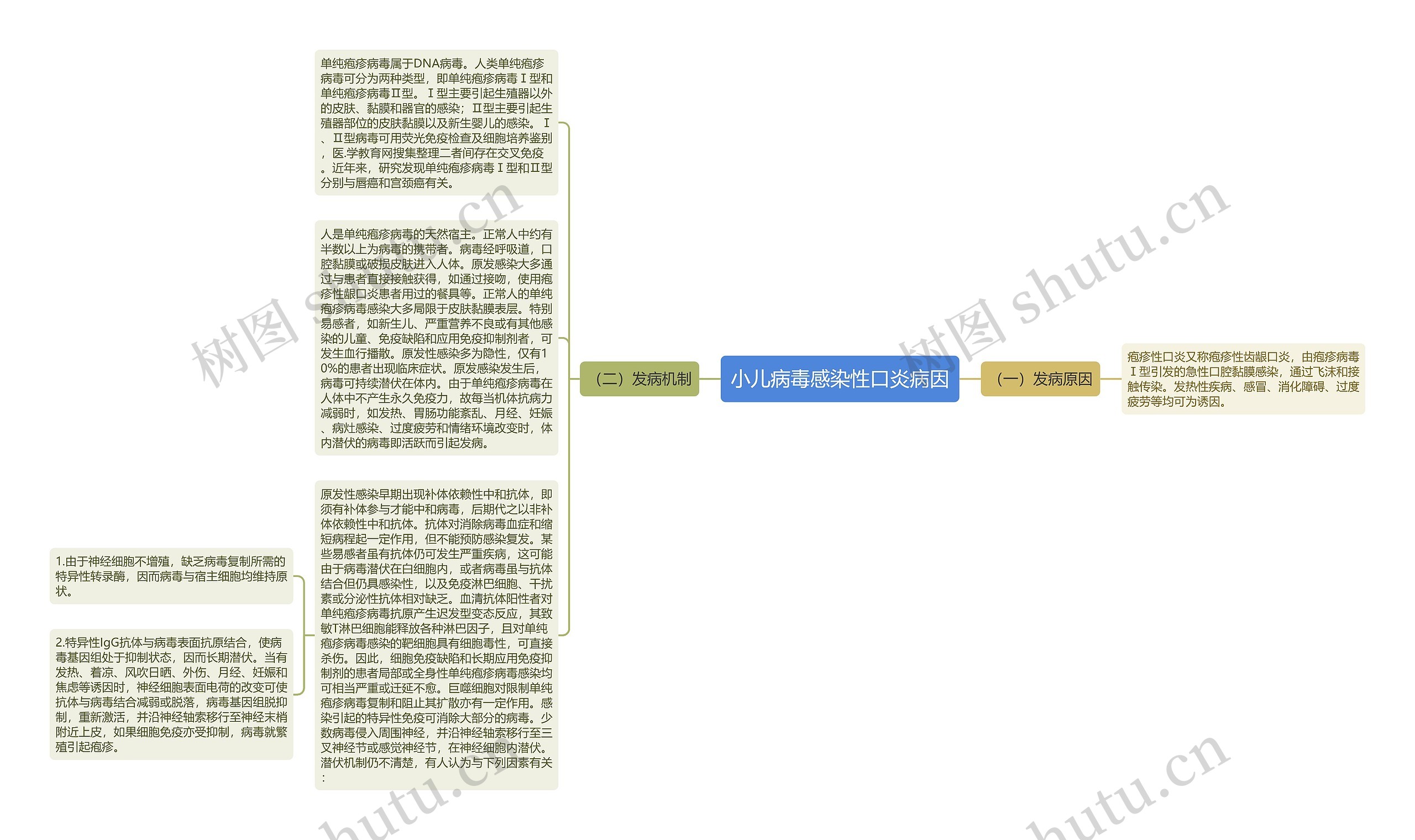 小儿病毒感染性口炎病因