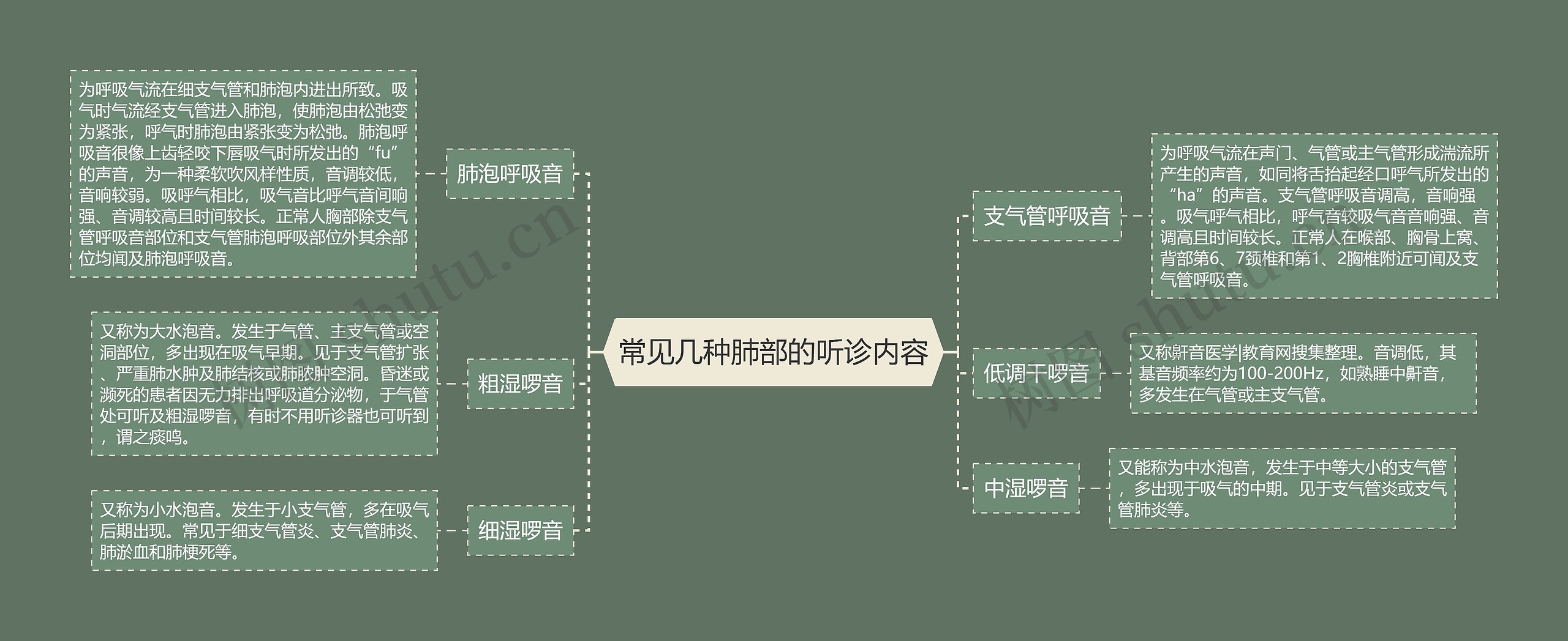常见几种肺部的听诊内容