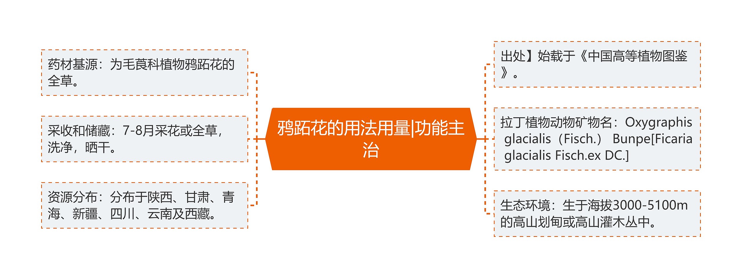 鸦跖花的用法用量|功能主治