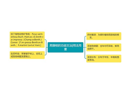 爬藤榕的功能主治|用法用量