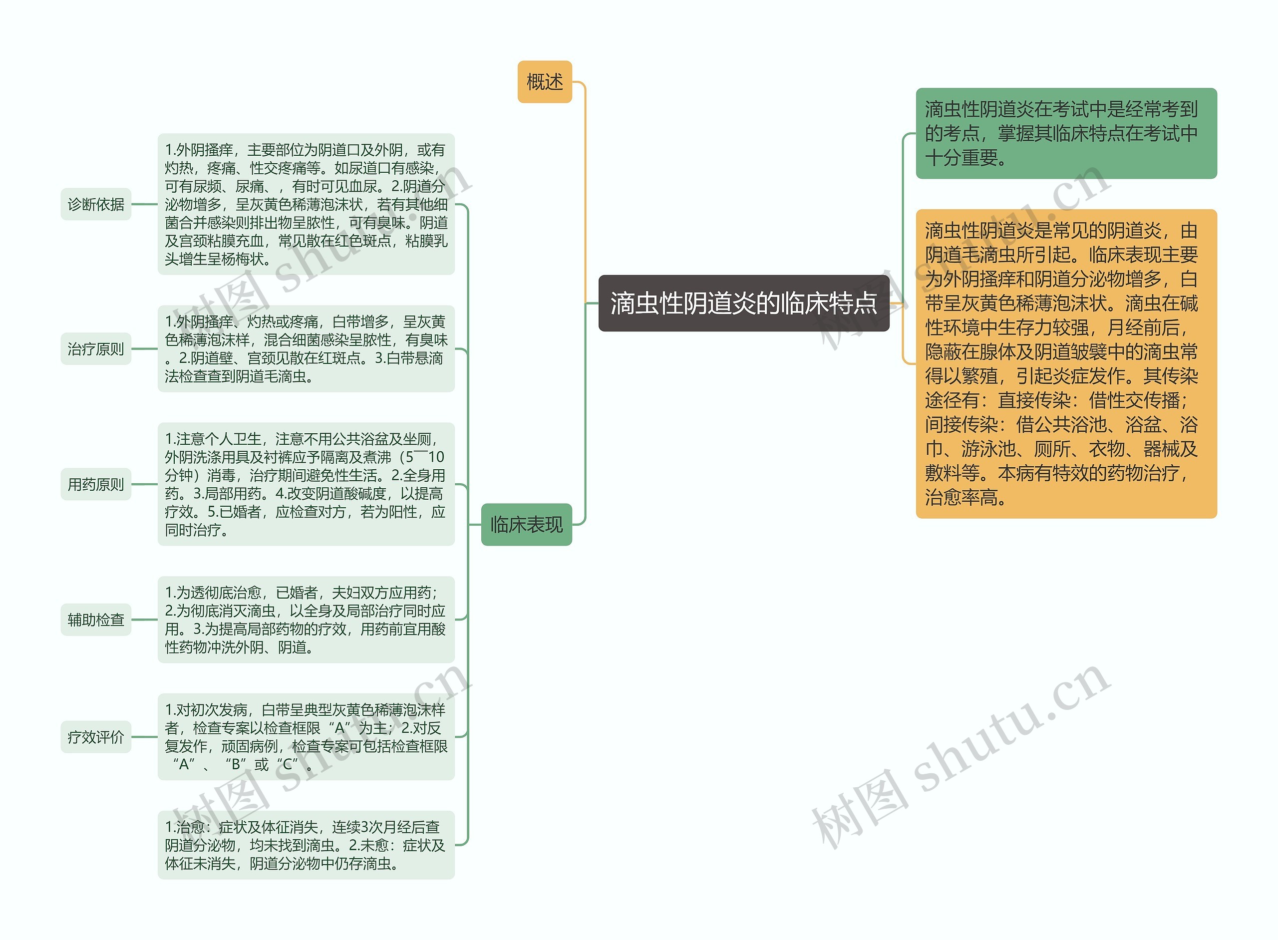 滴虫性阴道炎的临床特点