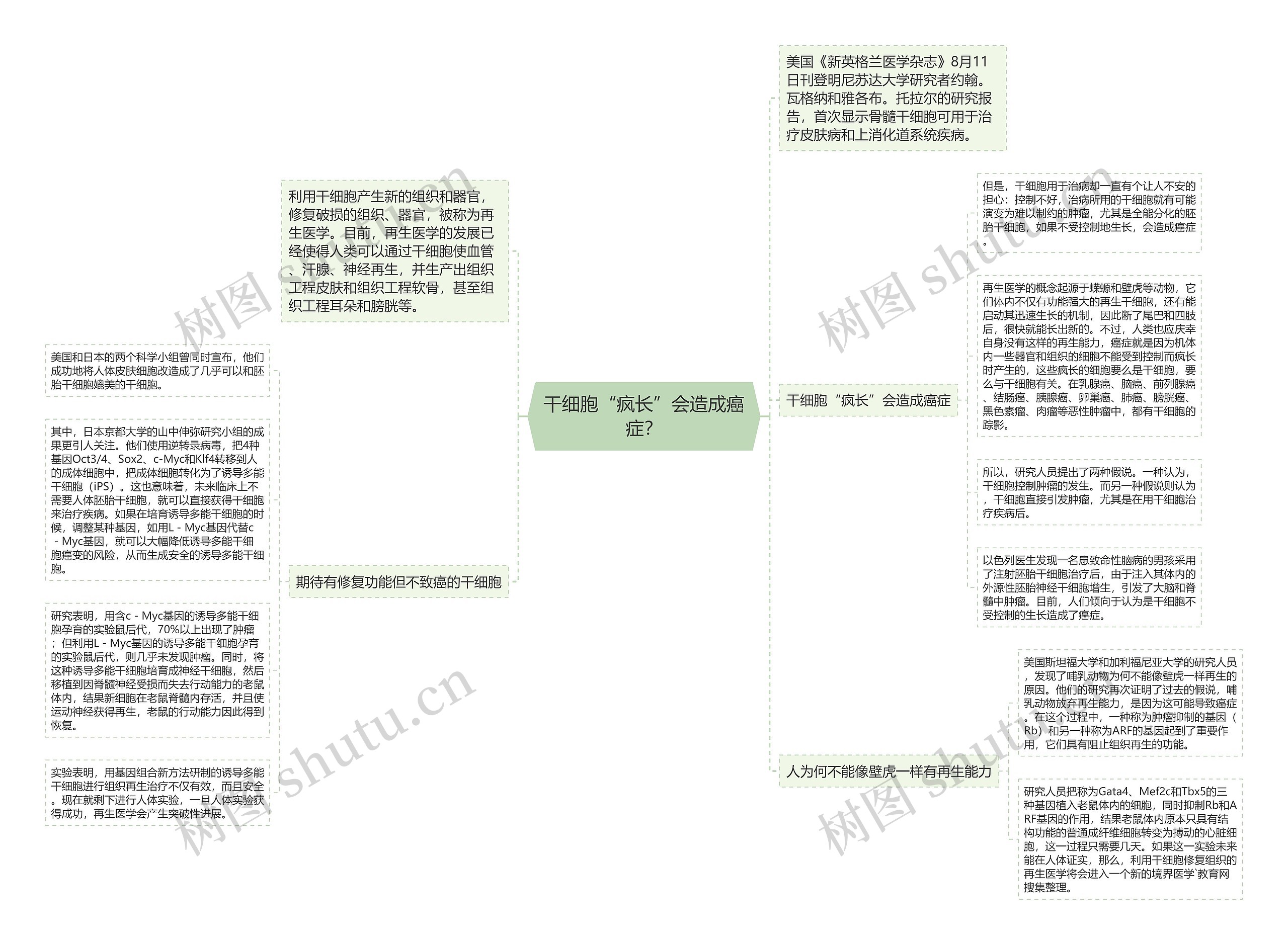 干细胞“疯长”会造成癌症? 干细胞“疯长”会造成癌症?