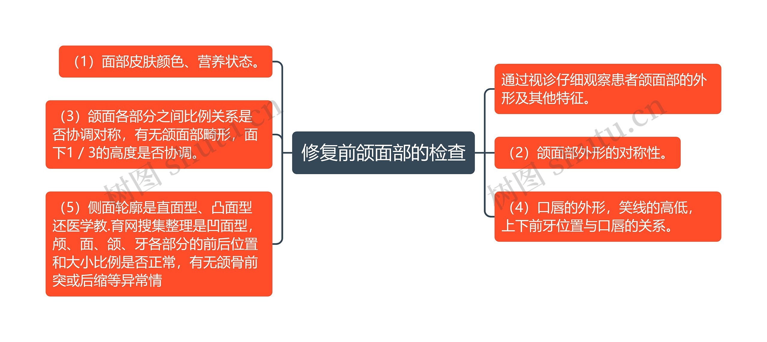 修复前颌面部的检查思维导图